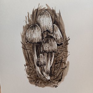 Ink cap mushrooms painted with ink cap ink