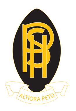 logo13.png