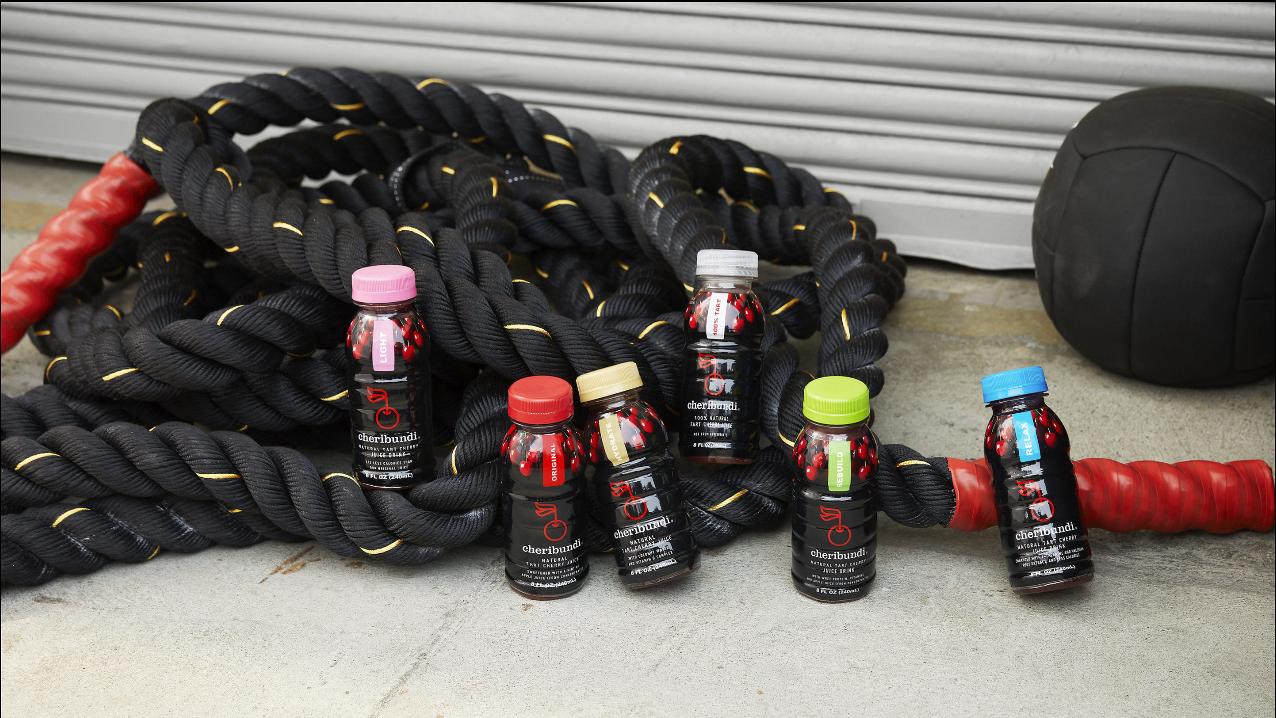 Screen Shot 2022-08-16 at 2.04.20 AM.png