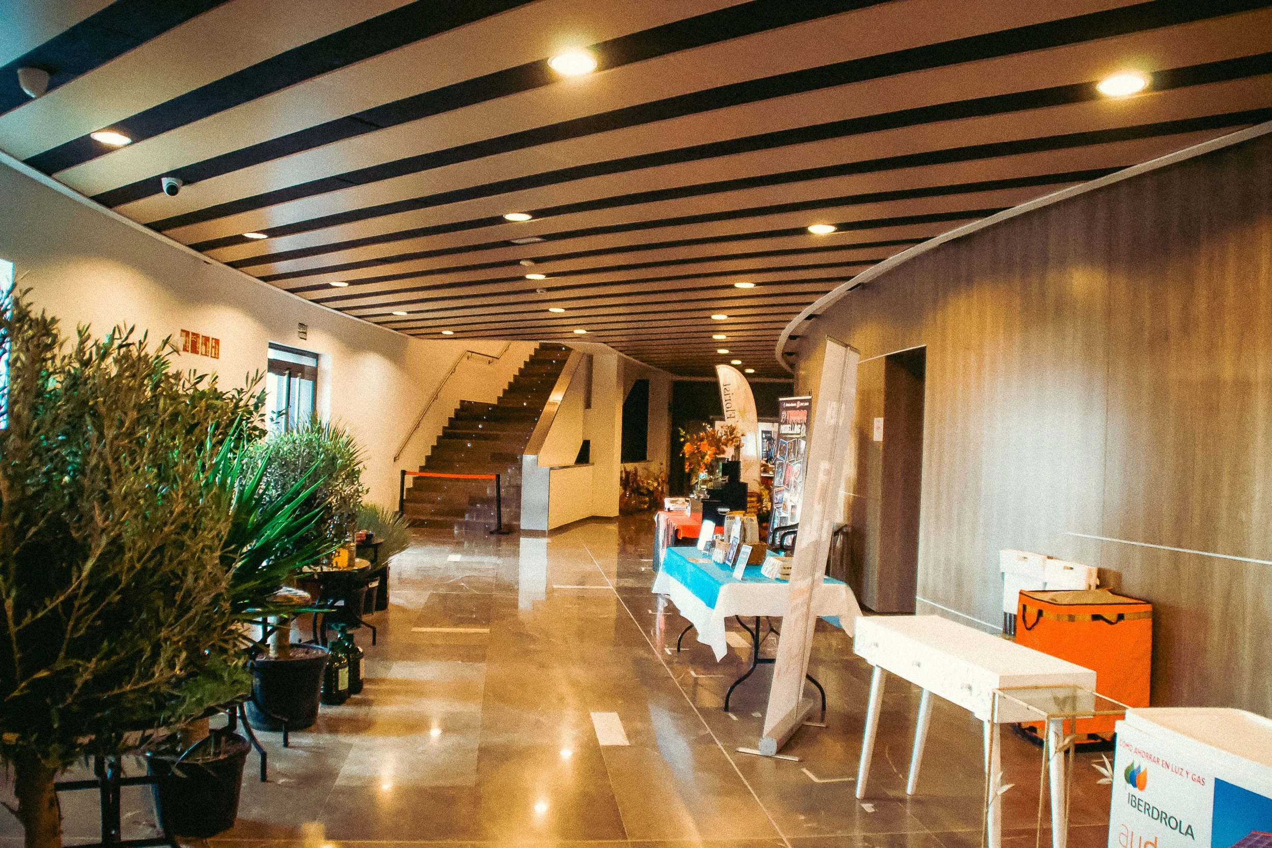 Torrevieja Expo Sunday Photo - 187.jpg