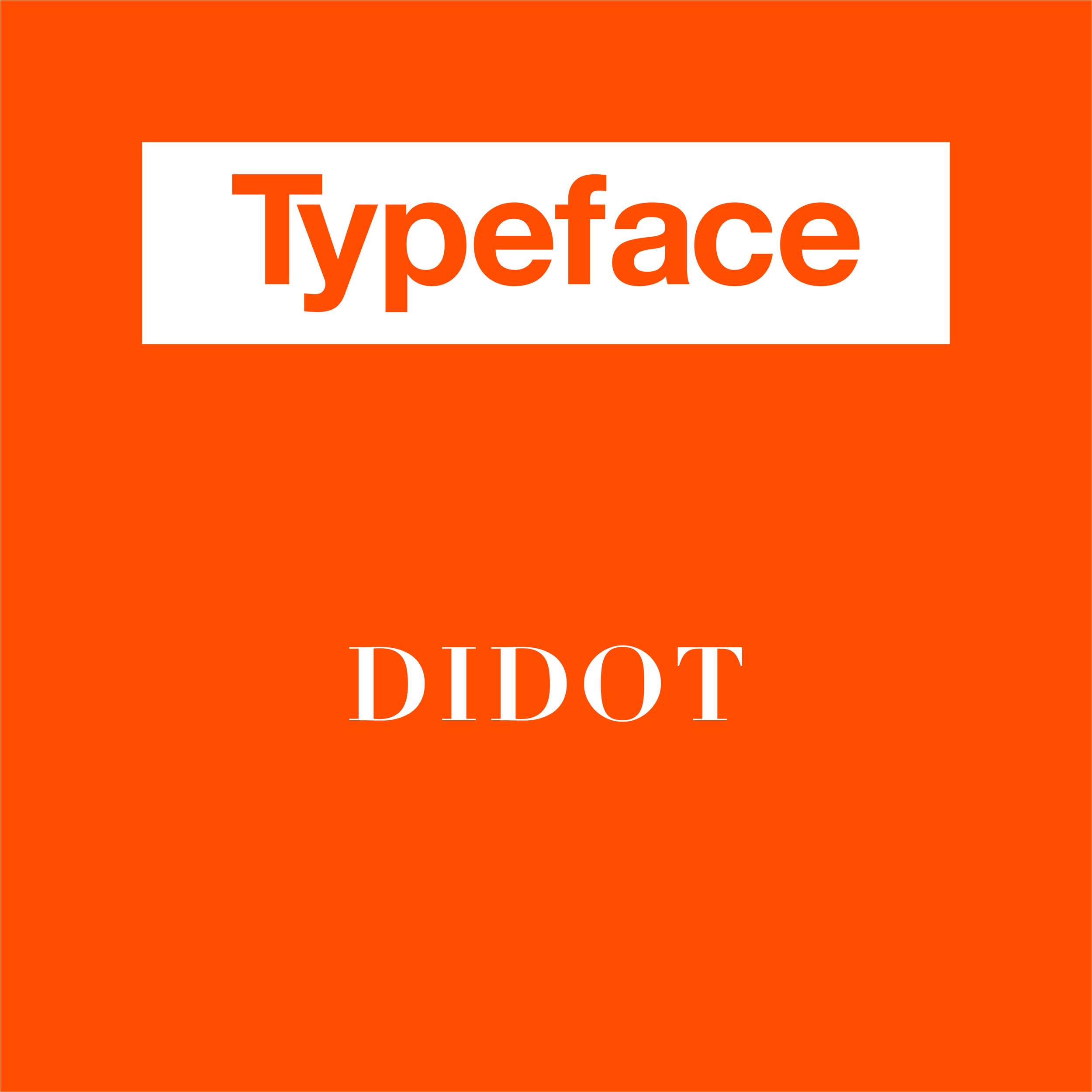 Didot font