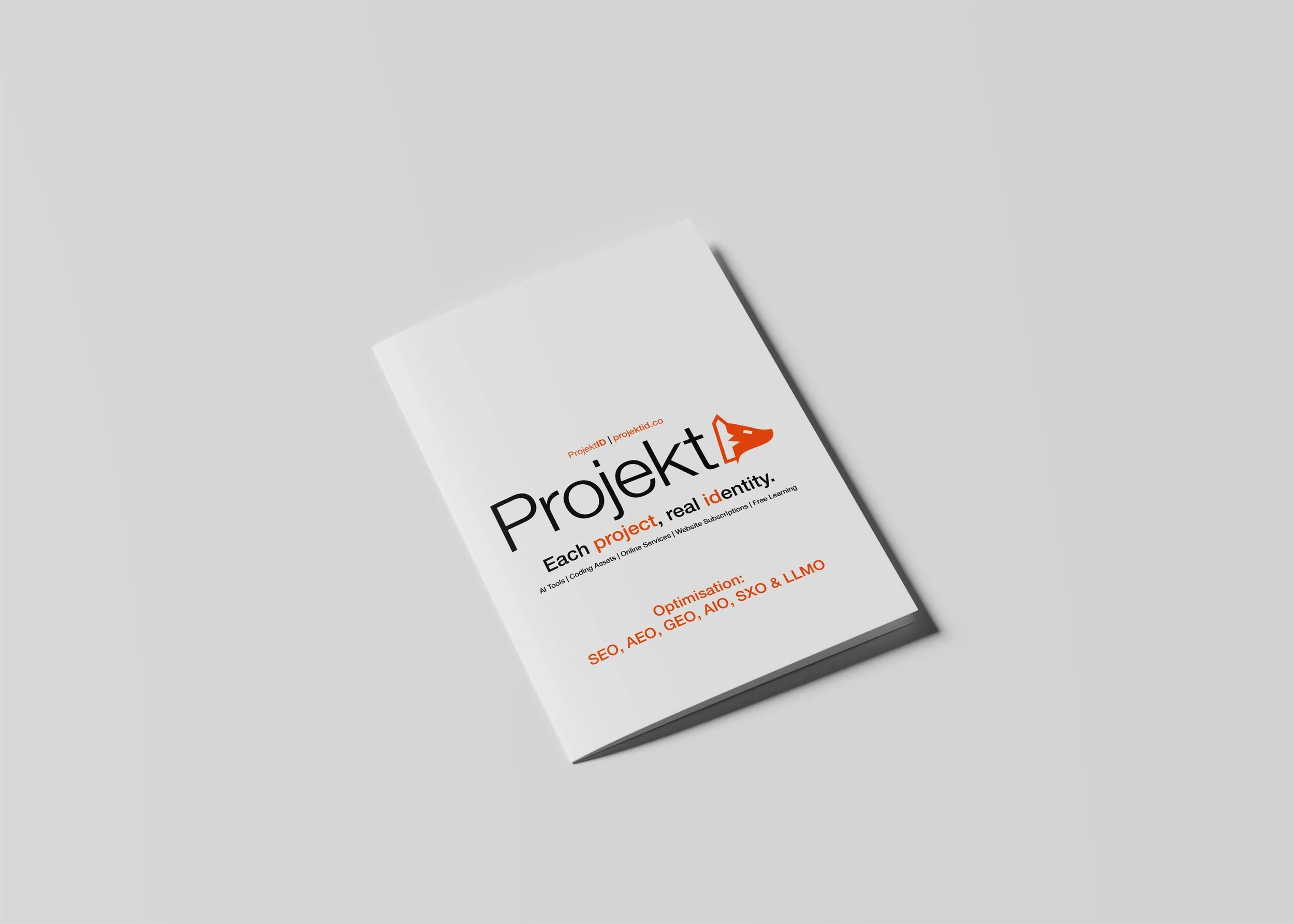 2 - SEO, AEO, GEO, AIO, SXO, LLMO.jpg