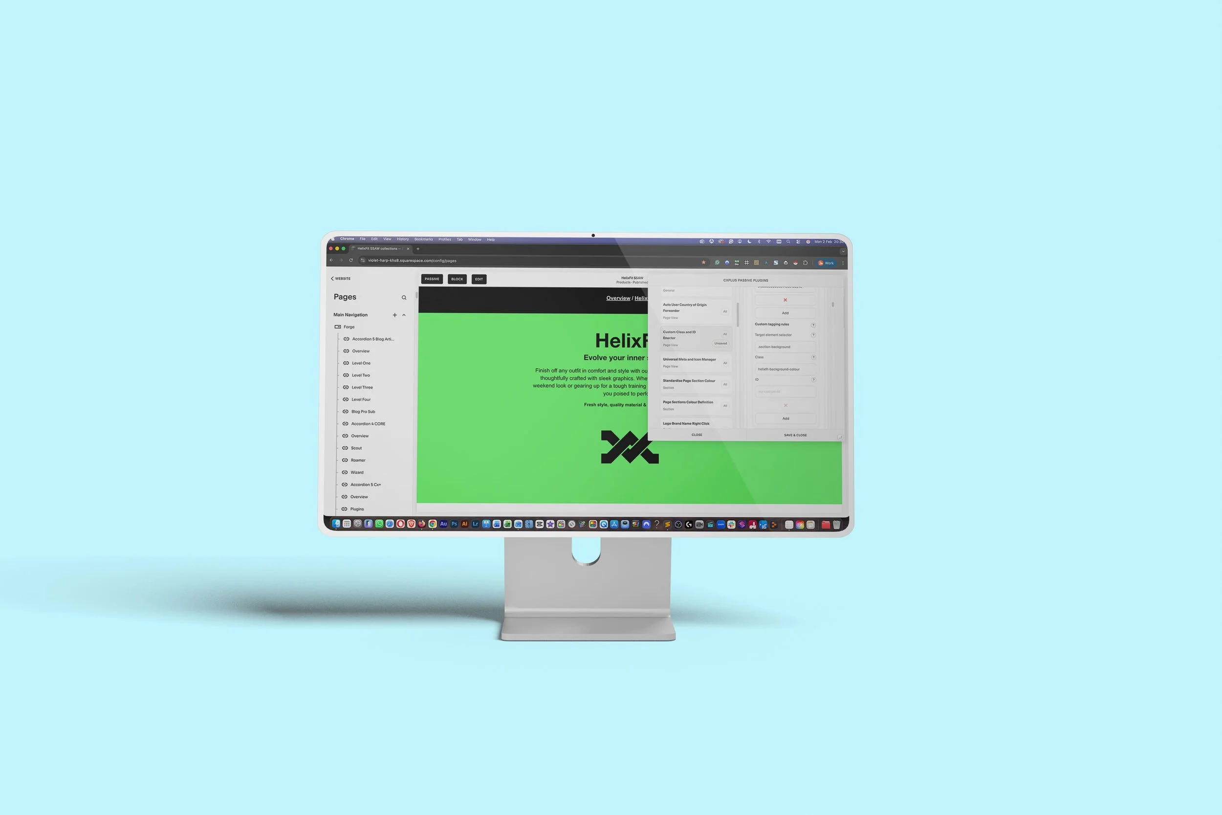 Custom Class and ID Enactor (Page View retrofit) [Cx+ Passive Plugin]