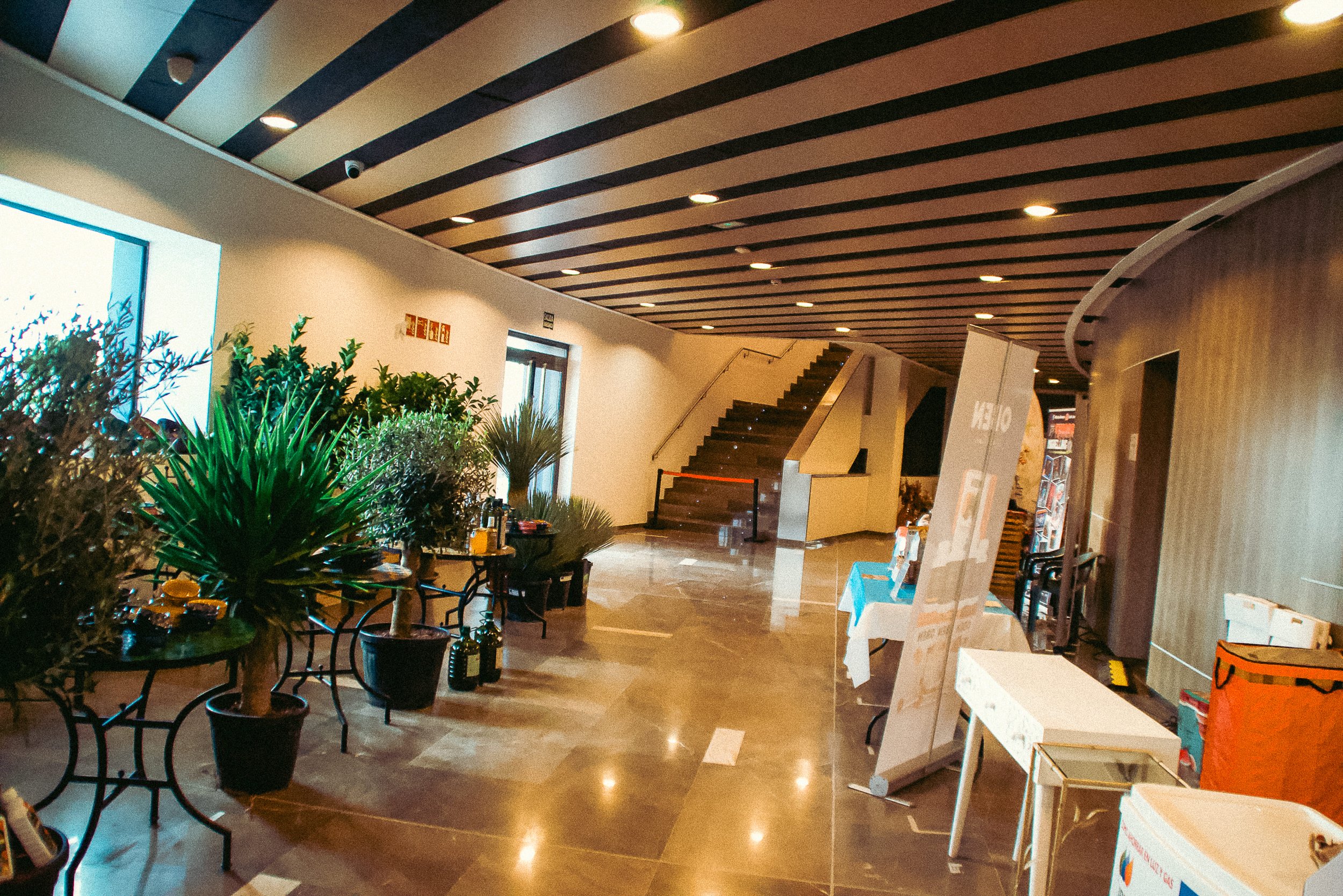 Torrevieja Expo Sunday Photo - 186.jpg