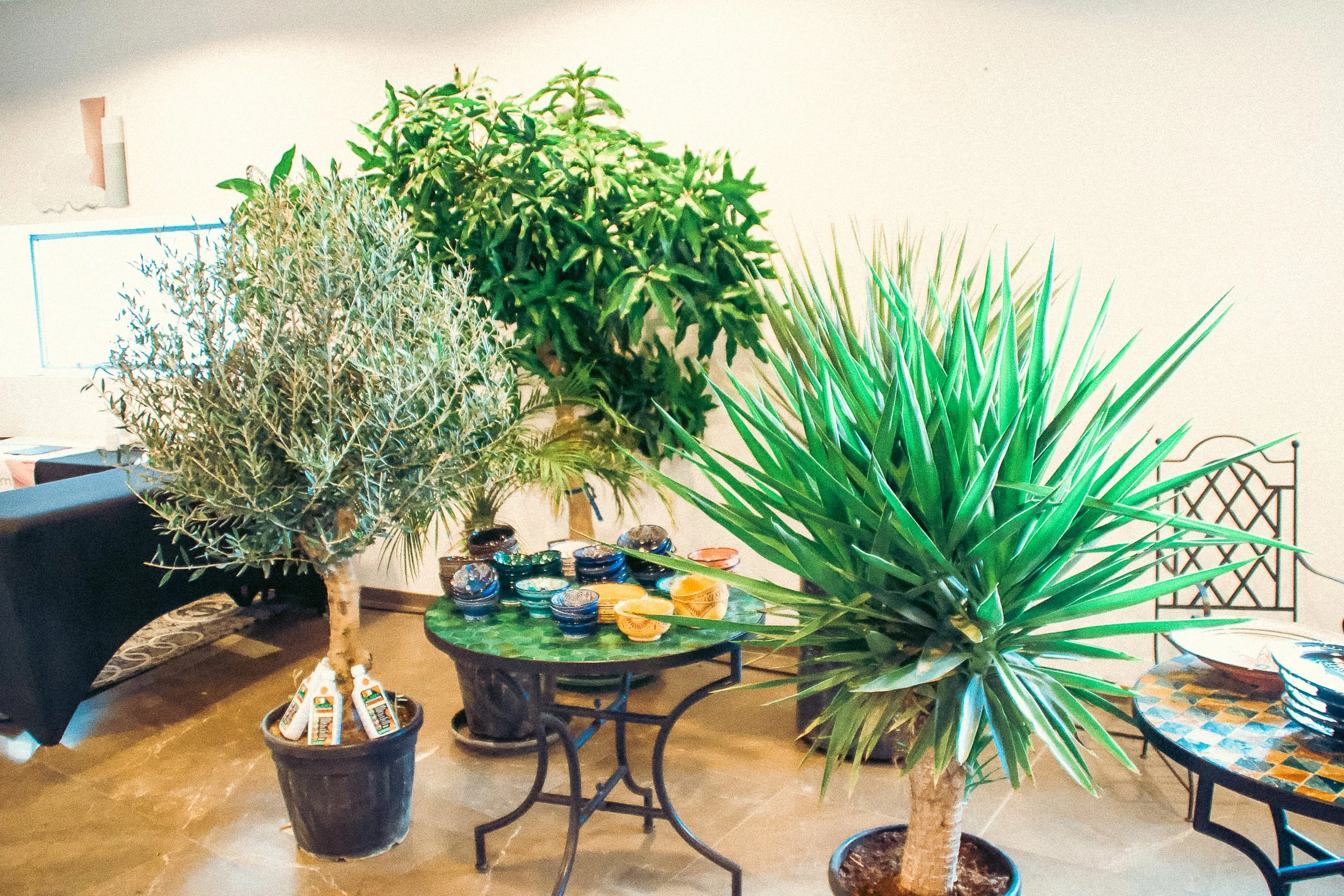 Torrevieja Expo Sunday Photo - 182.jpg