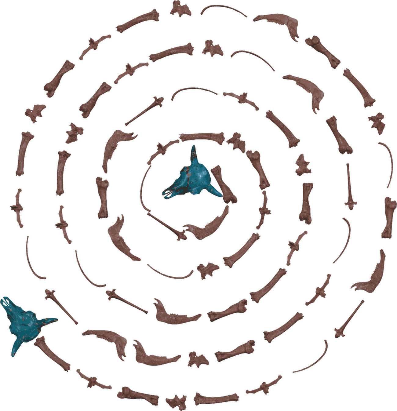 spiral-schematic.png