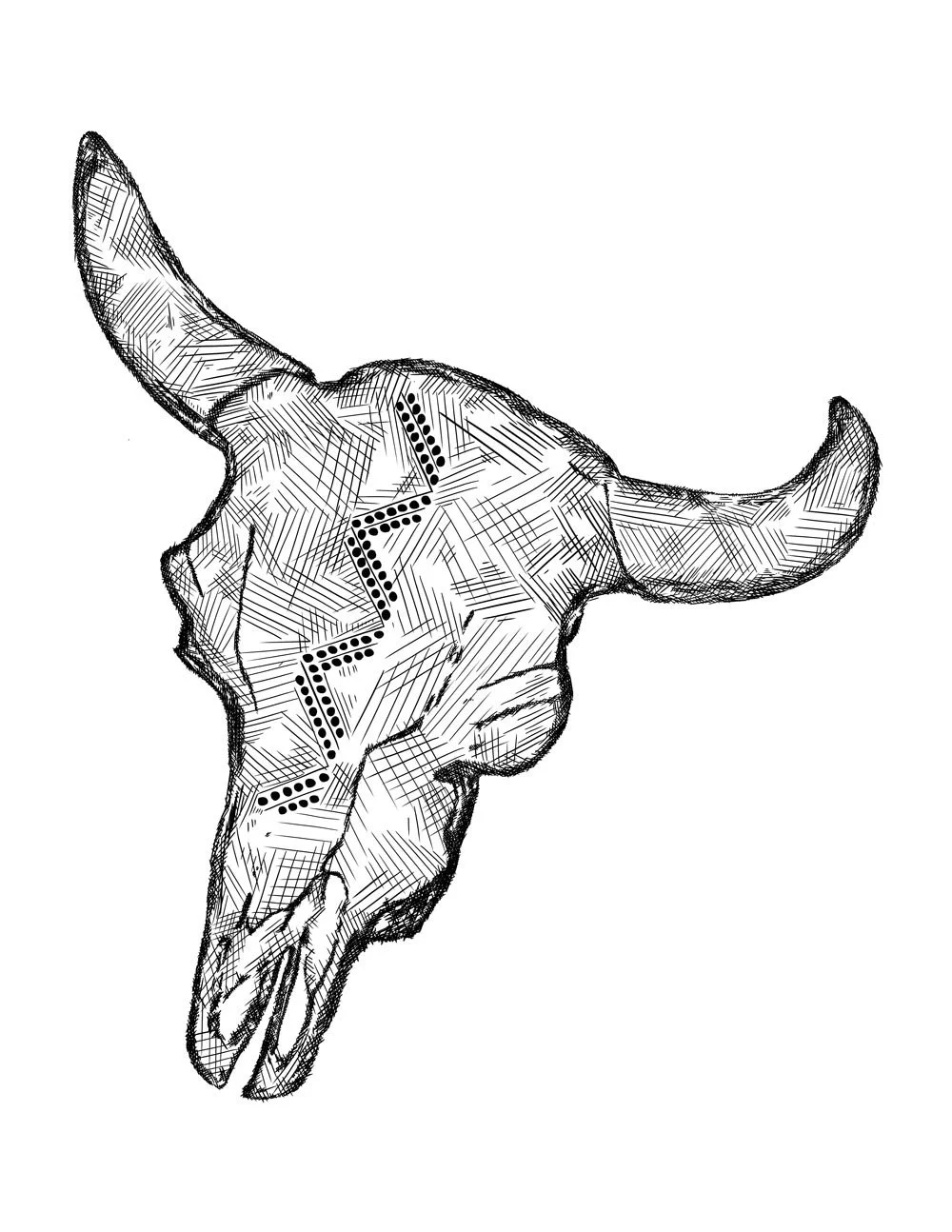 BisonSkull_Wichita2_LowRes.jpg