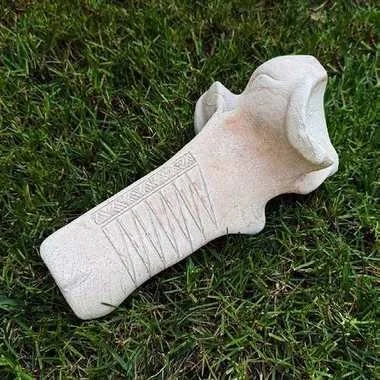 bone-lumbar-farris.jpg