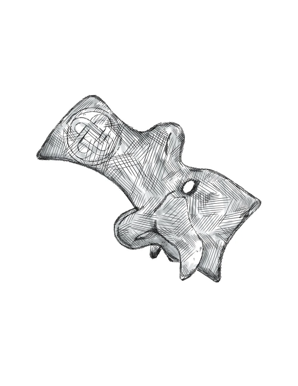 MvskKnot_ThoracicVertebra_Example_2.jpg