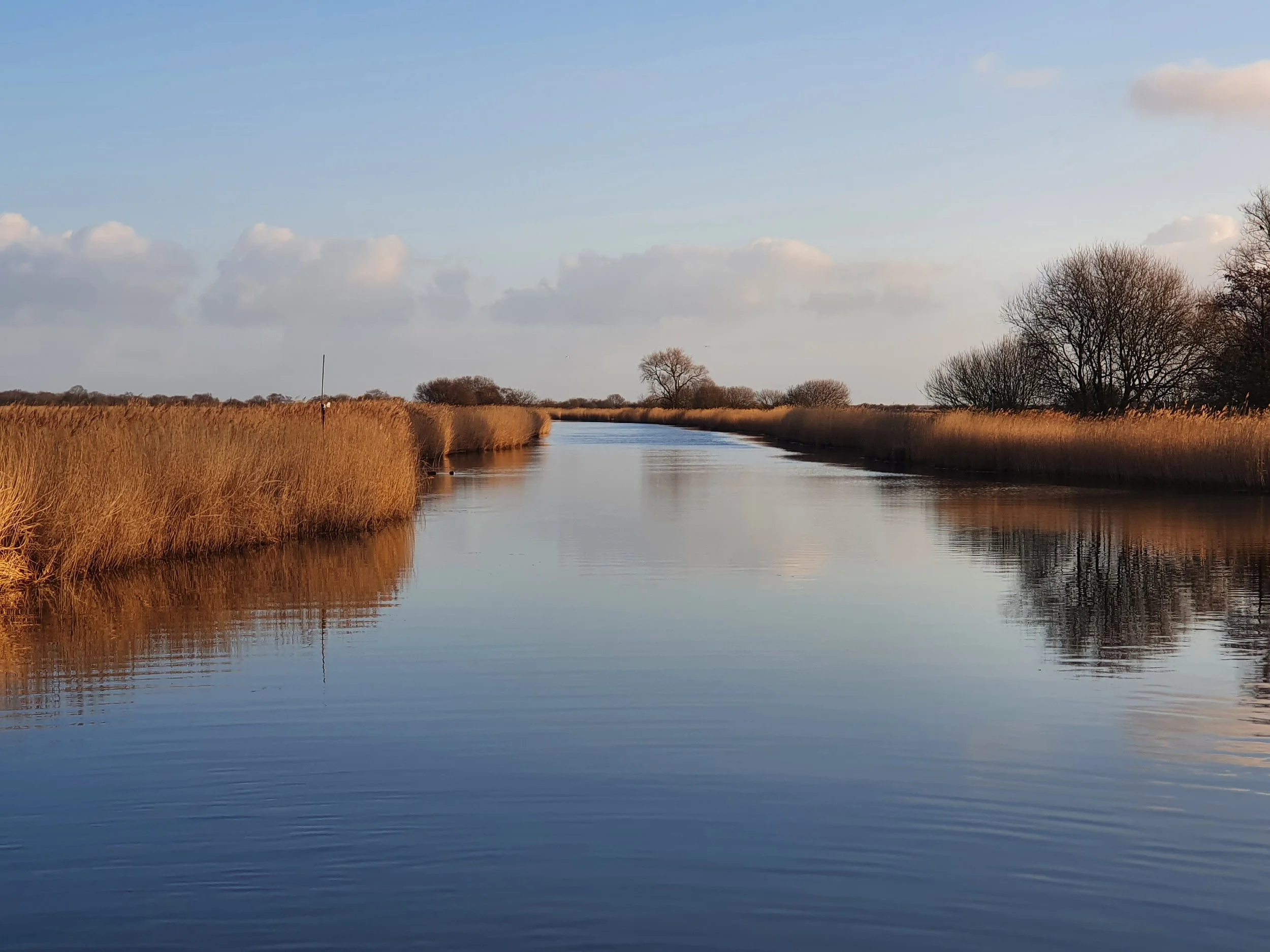 Broads Discovery Grant Award