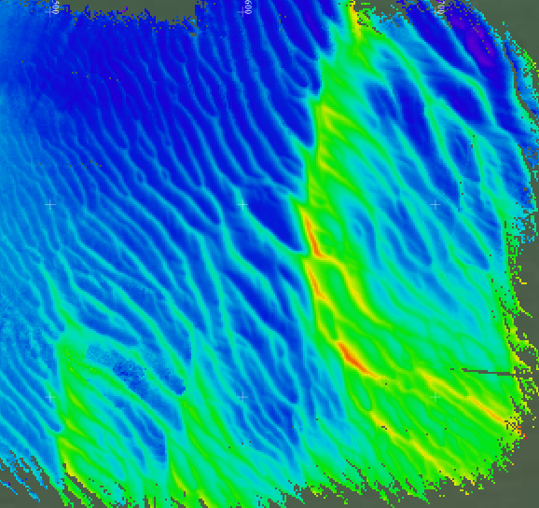 Sandwich &amp; Pegwell Bay restoration project (KWT)