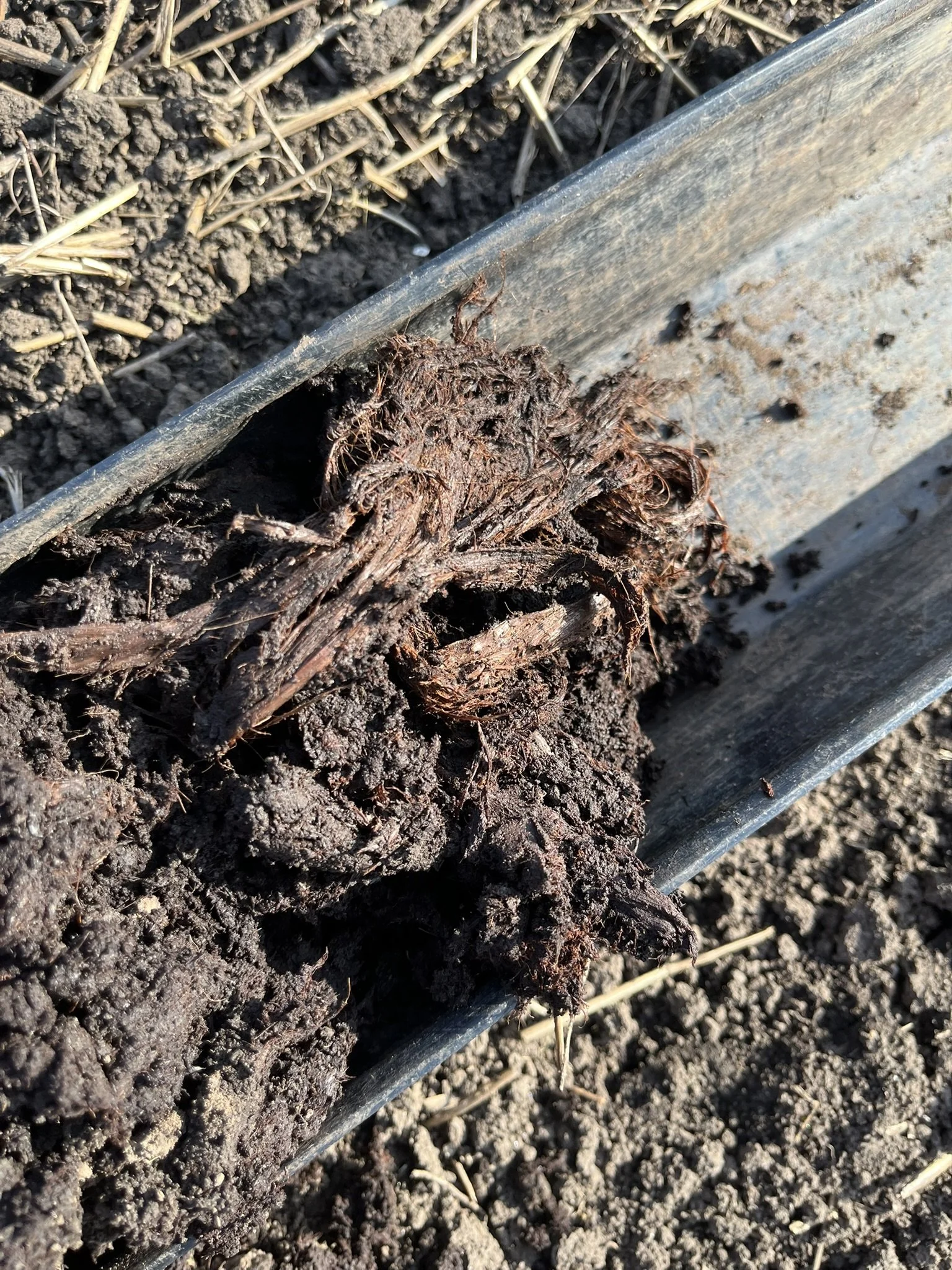 Peatland Surveys - The Humberhead Levels | Part 5