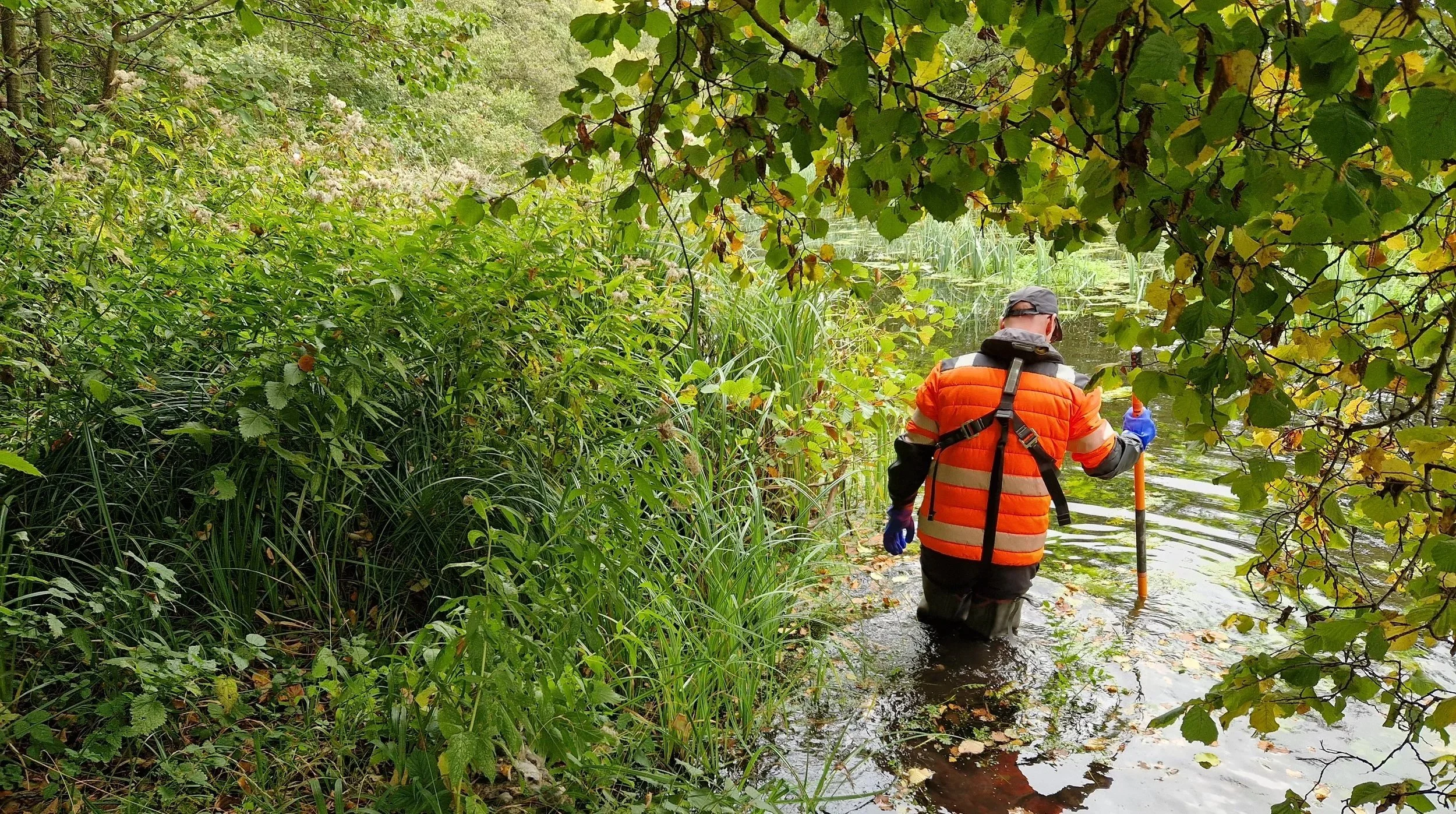 A brittlestar remains in a sediment sieve after the rest of the sediment has been hosed away