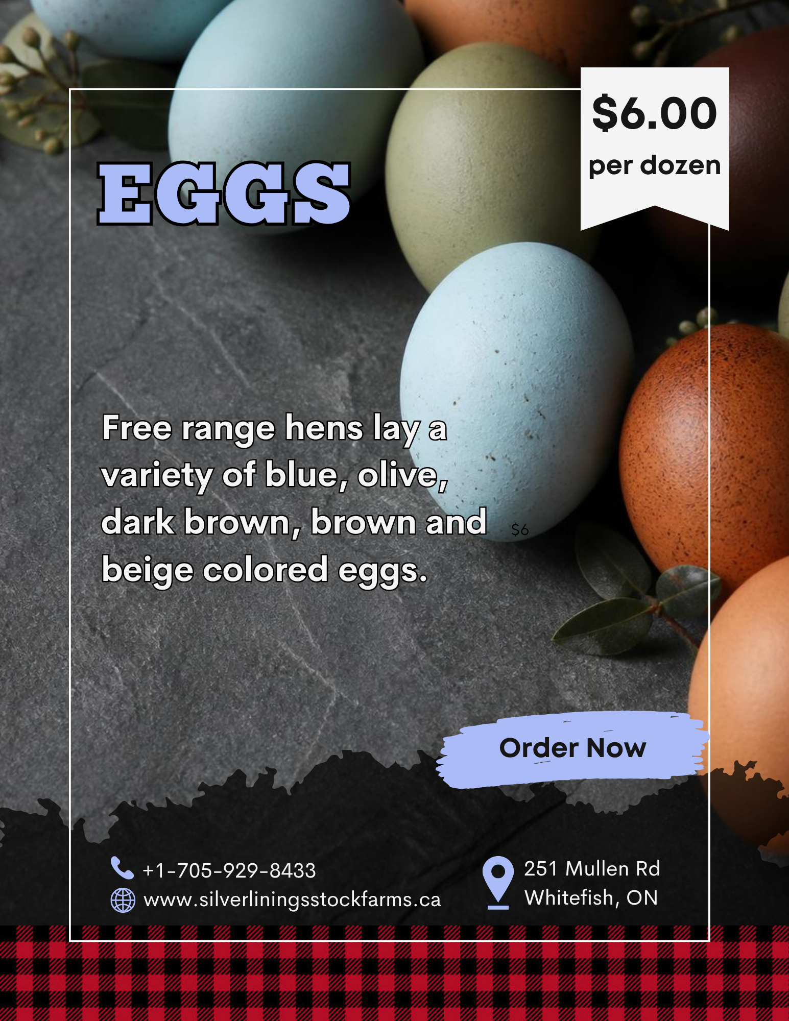 Eggs.png