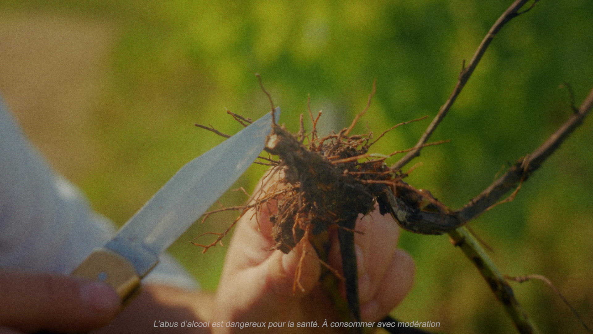 Still 2026-03-10 144401_1.510.1.png