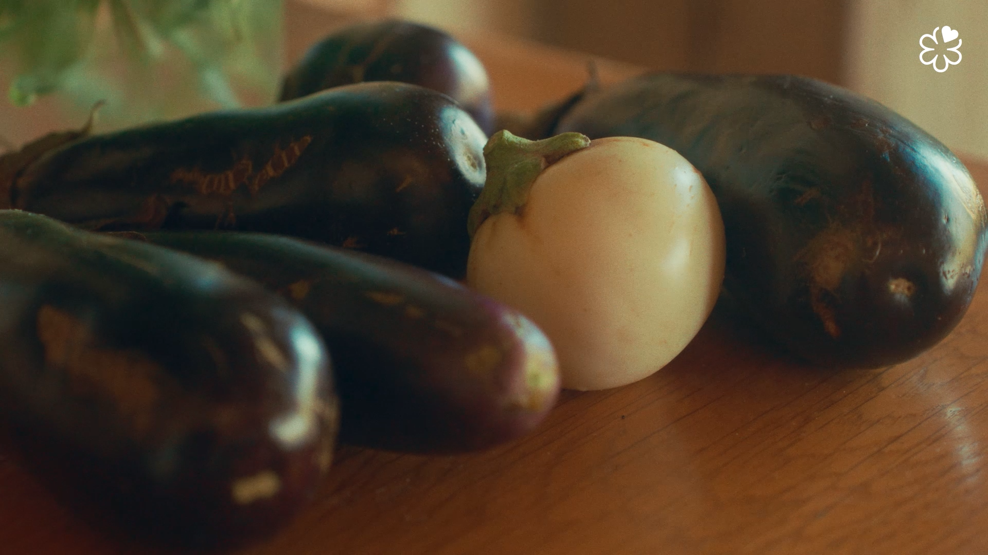 Still 2026-03-10 144324_1.77.1.png