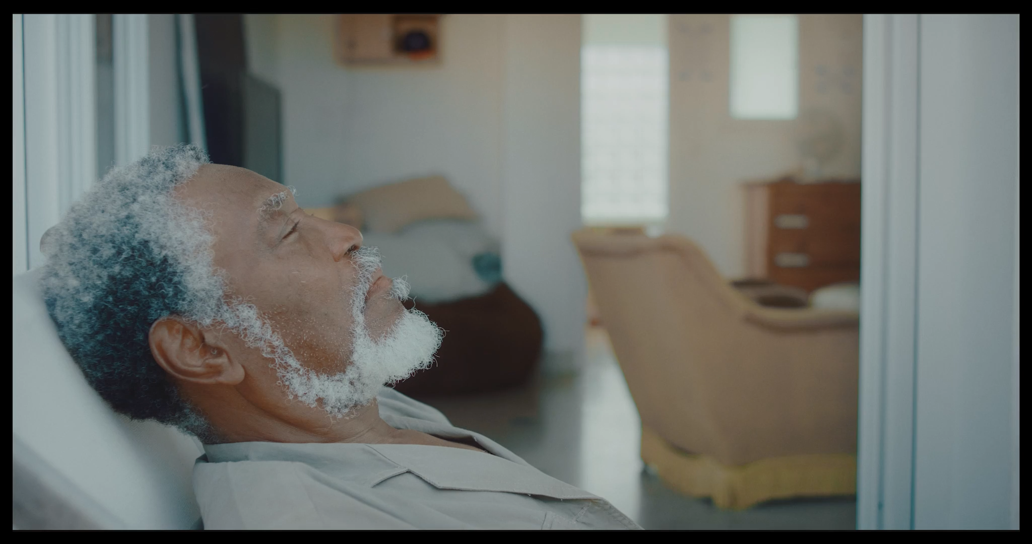 Les graines silencieuses_1.1.8.png