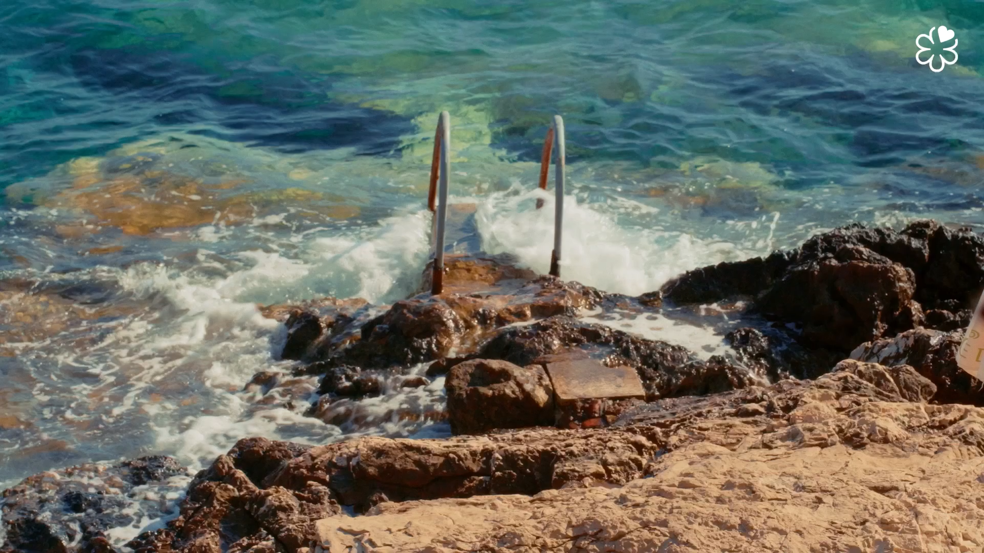 Still 2026-03-10 144411_1.584.1.png