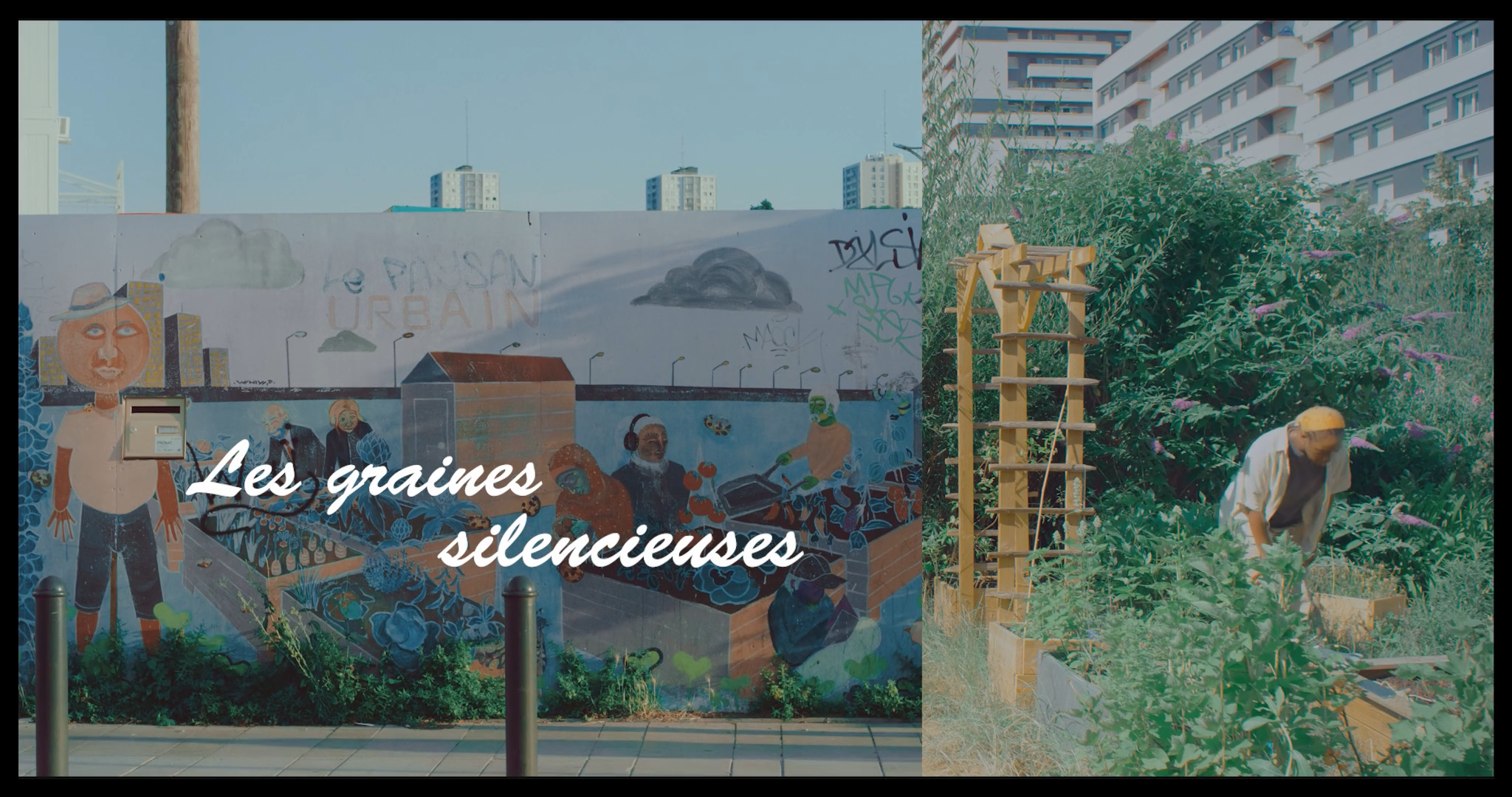 Les graines silencieuses_1.1.2.png