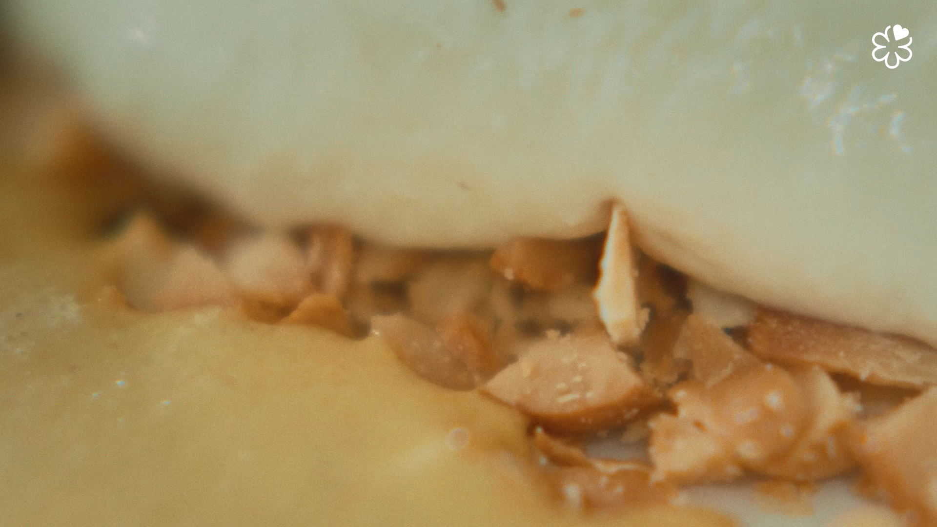 Still 2026-03-10 144324_1.142.1.png