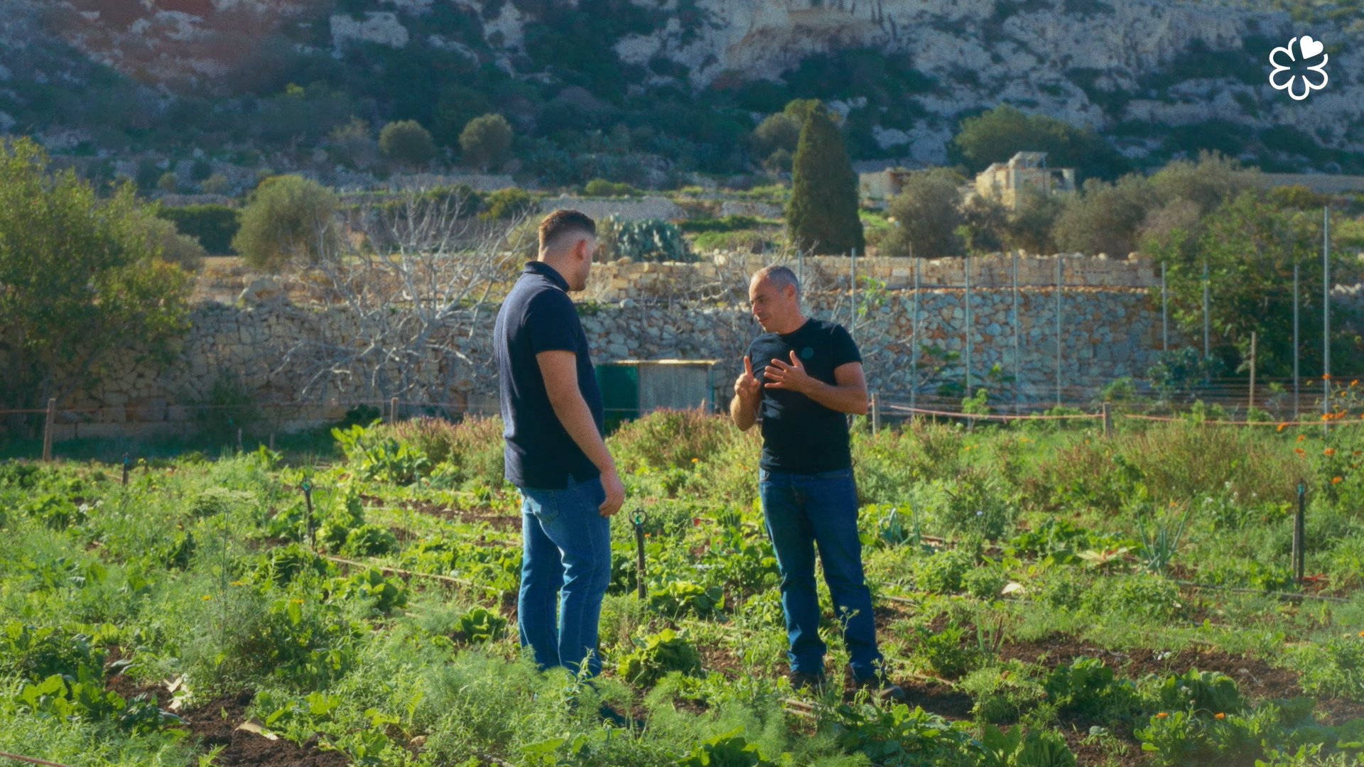 Still 2026-03-10 144324_1.44.1.png