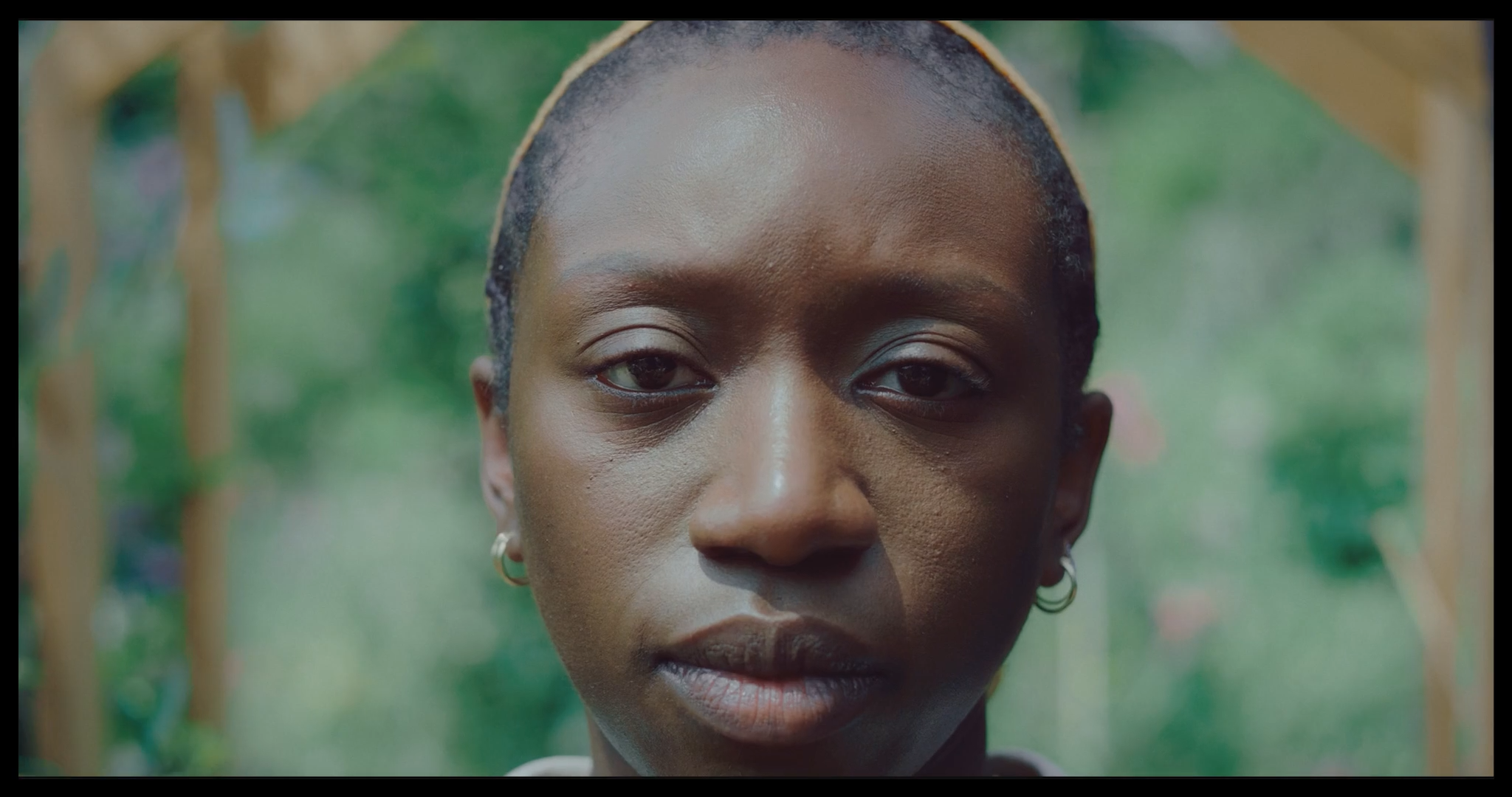 Les graines silencieuses_1.1.3.png