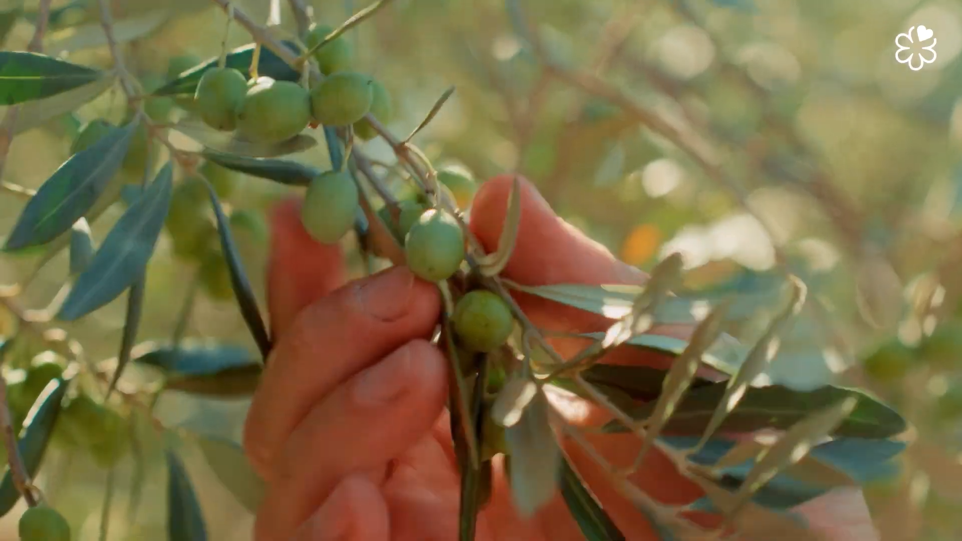 Still 2026-03-10 144411_1.773.1.png