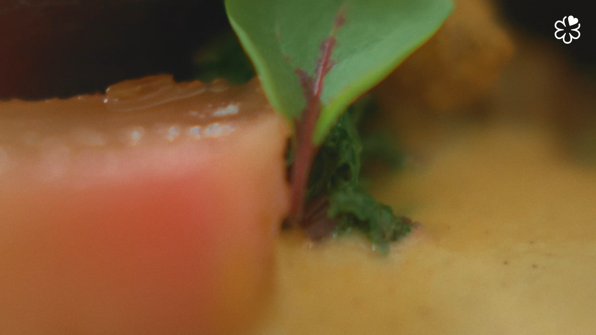 Still 2026-03-10 144324_1.141.1.png