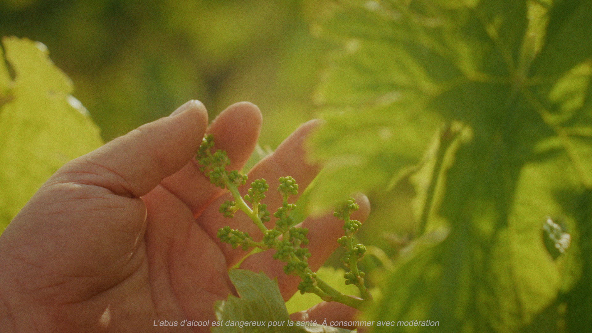 Still 2026-03-10 144401_1.506.1.png