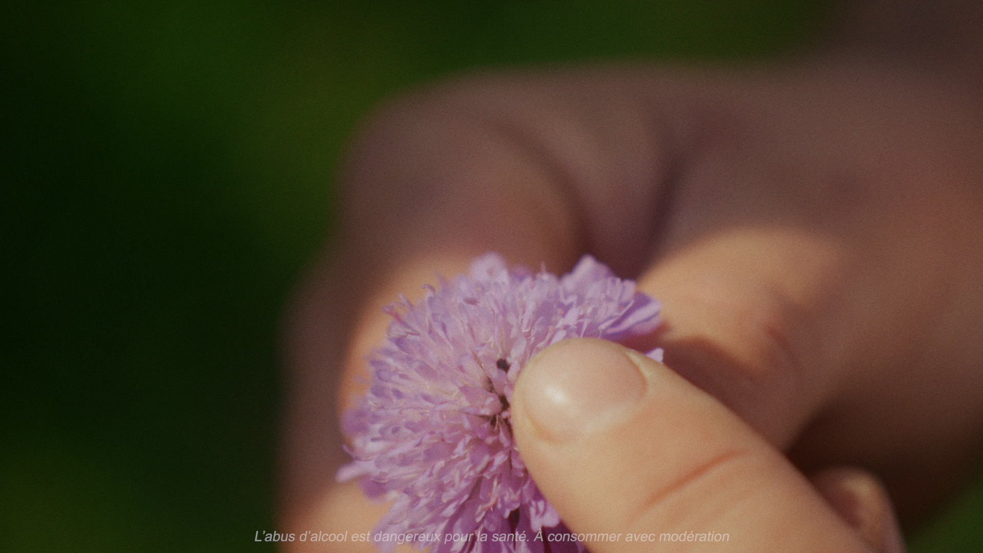 Still 2026-03-10 144401_1.495.1.png