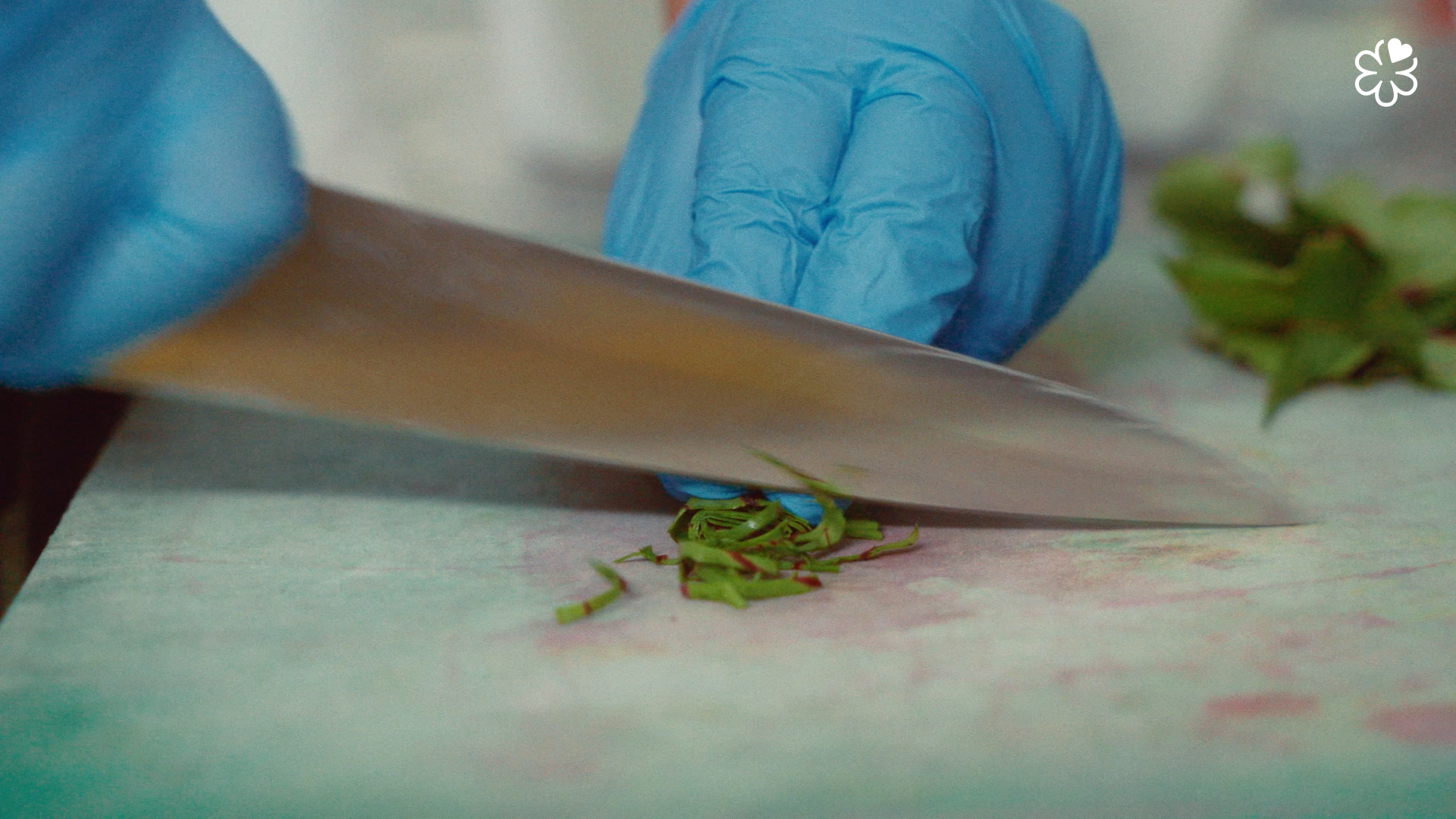 Still 2026-03-10 144324_1.15.1.png