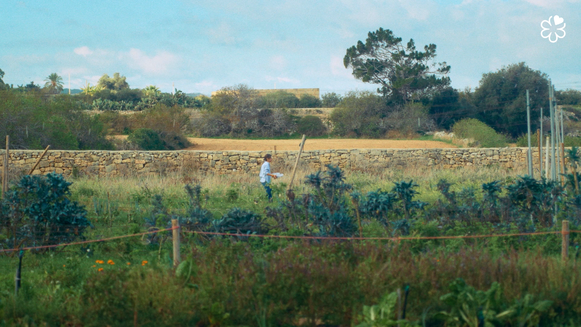 Still 2026-03-10 144324_1.46.1.png