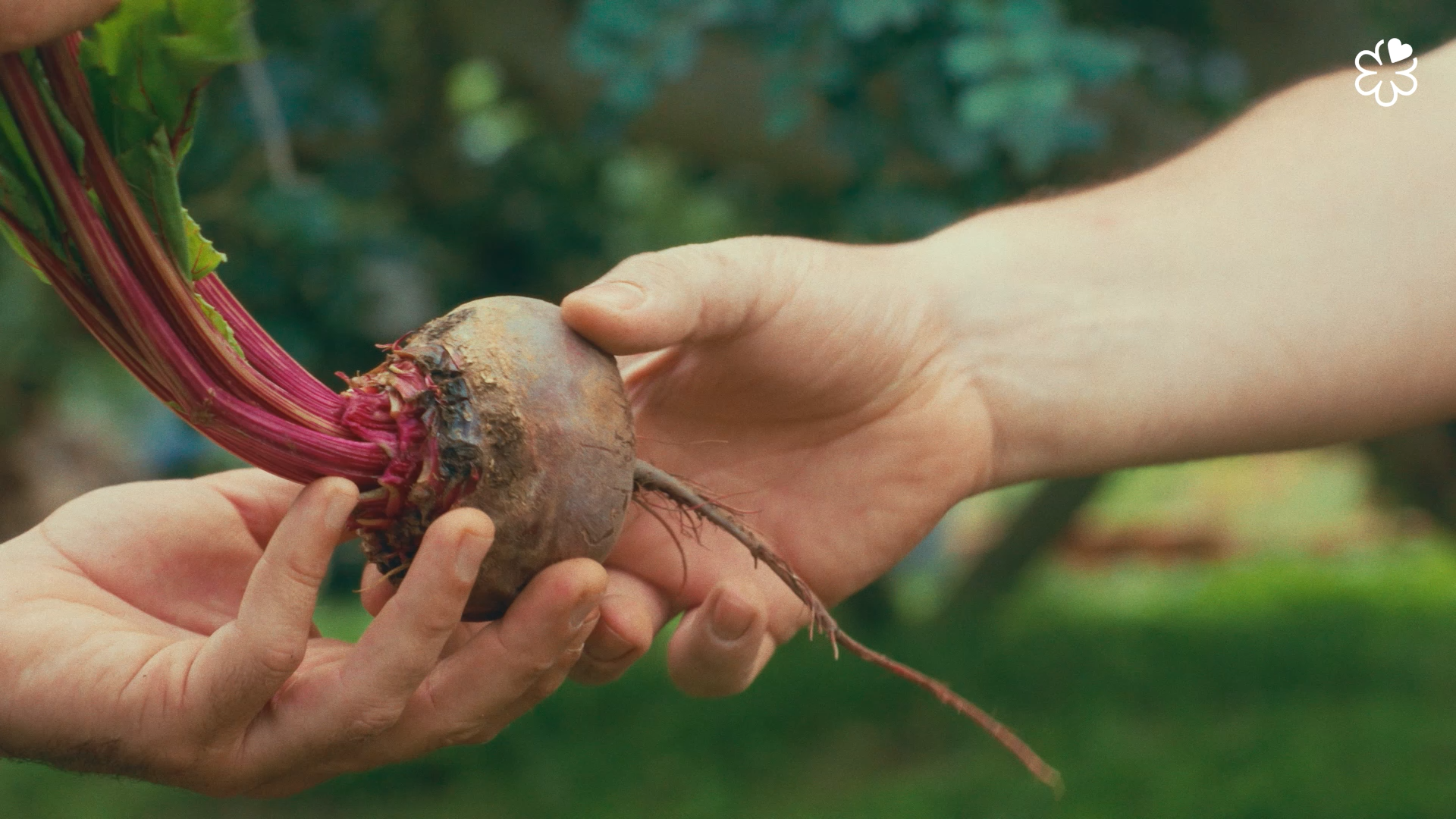 Still 2026-03-10 144324_1.25.1.png