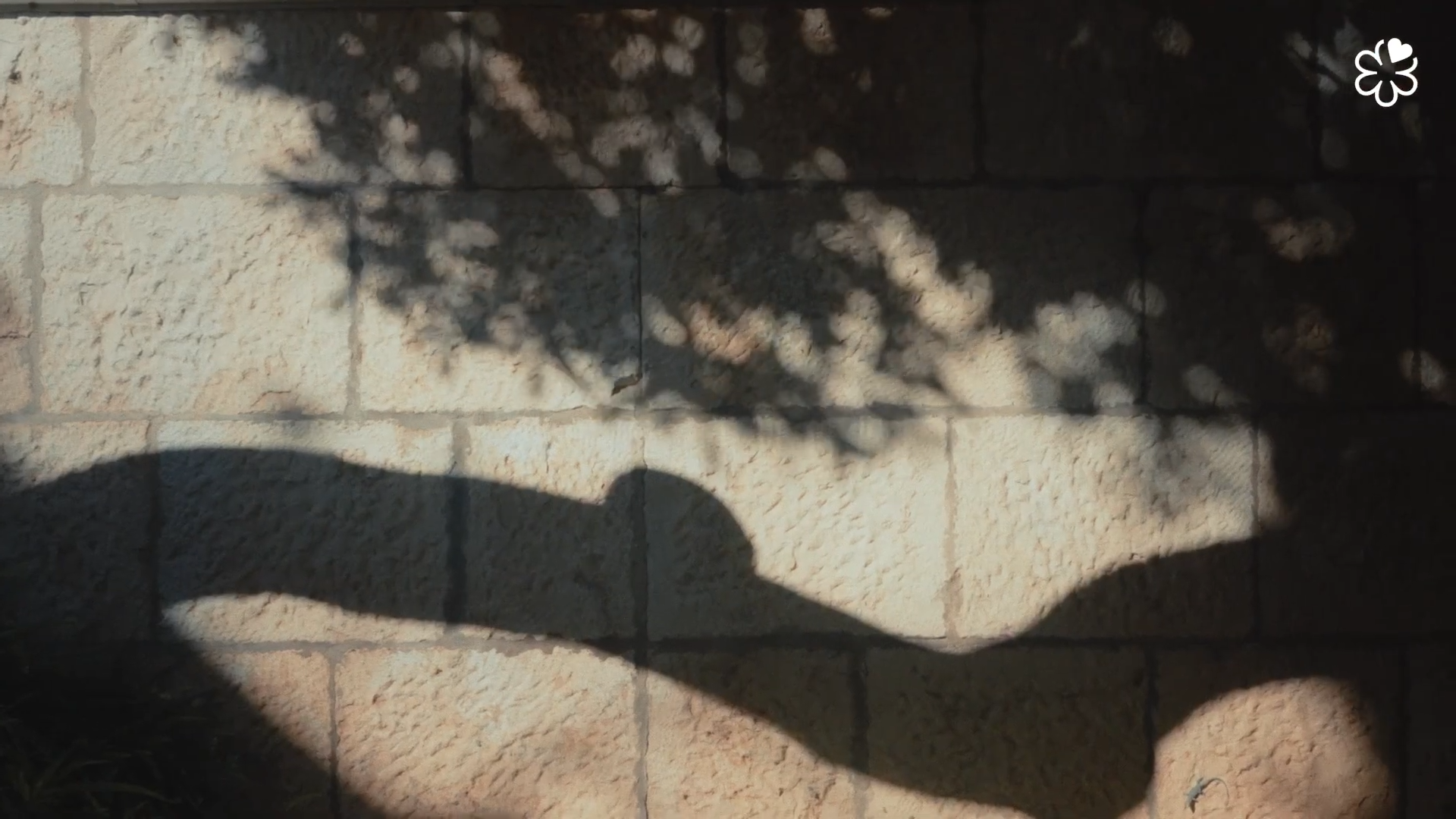 Still 2026-03-10 144411_1.606.1.png