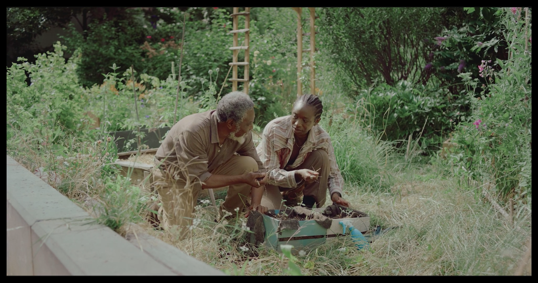 Les graines silencieuses_1.1.23.png