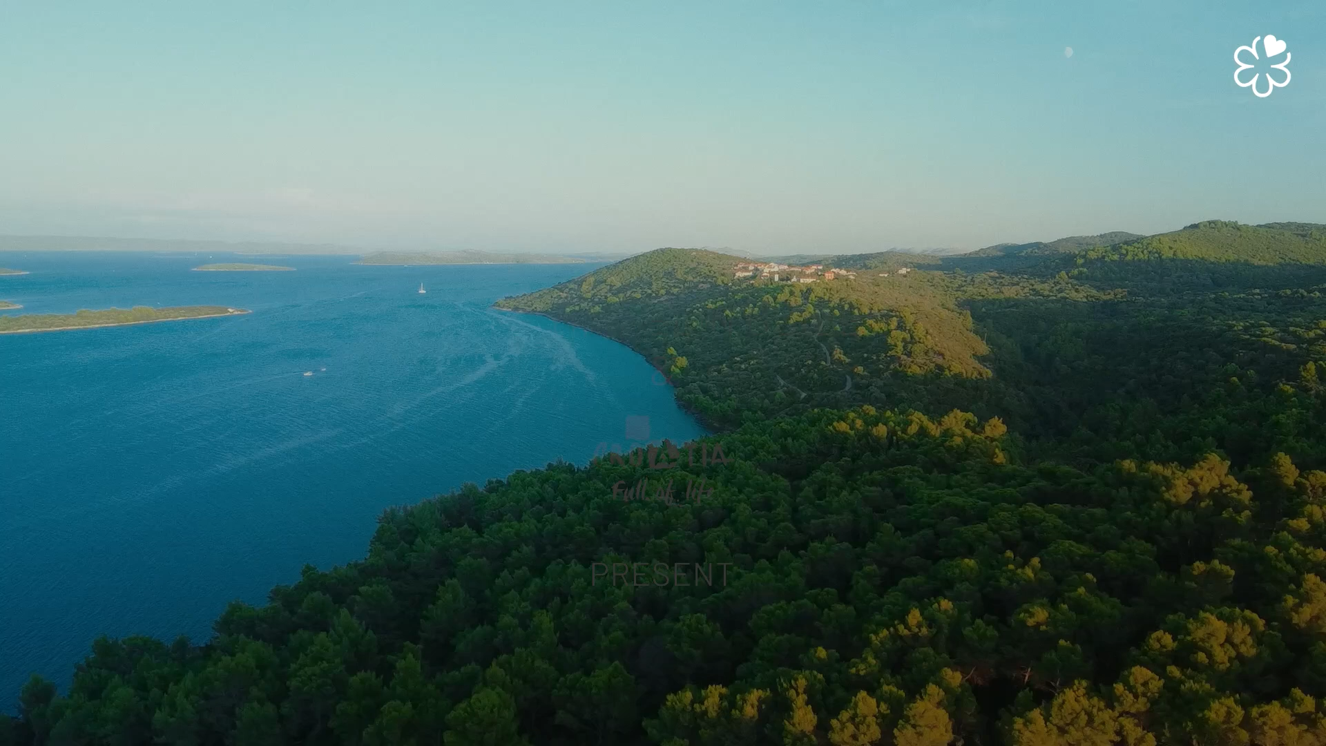 Still 2026-03-10 144411_1.564.1.png