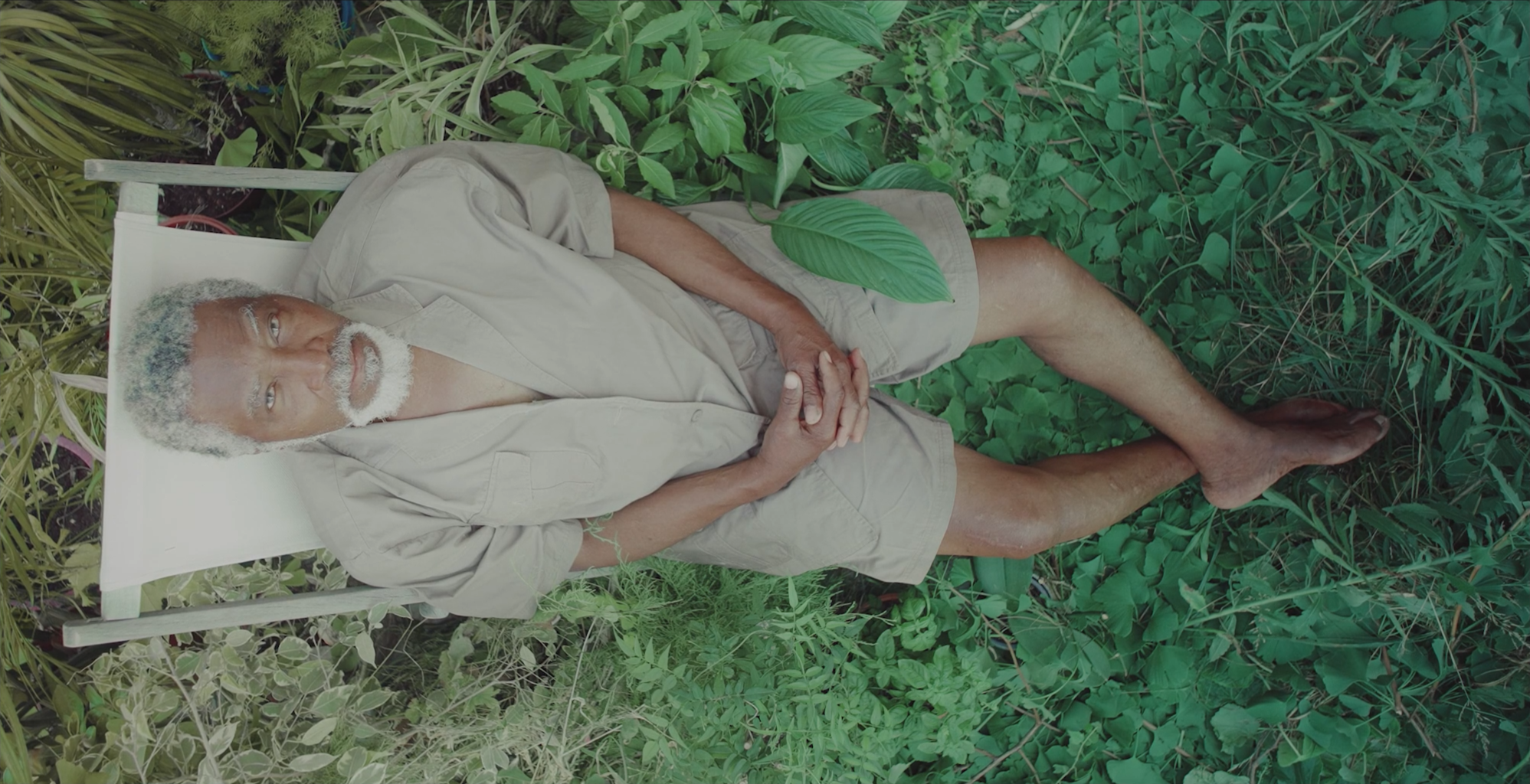 LES GRAINES SILENCIEUSES