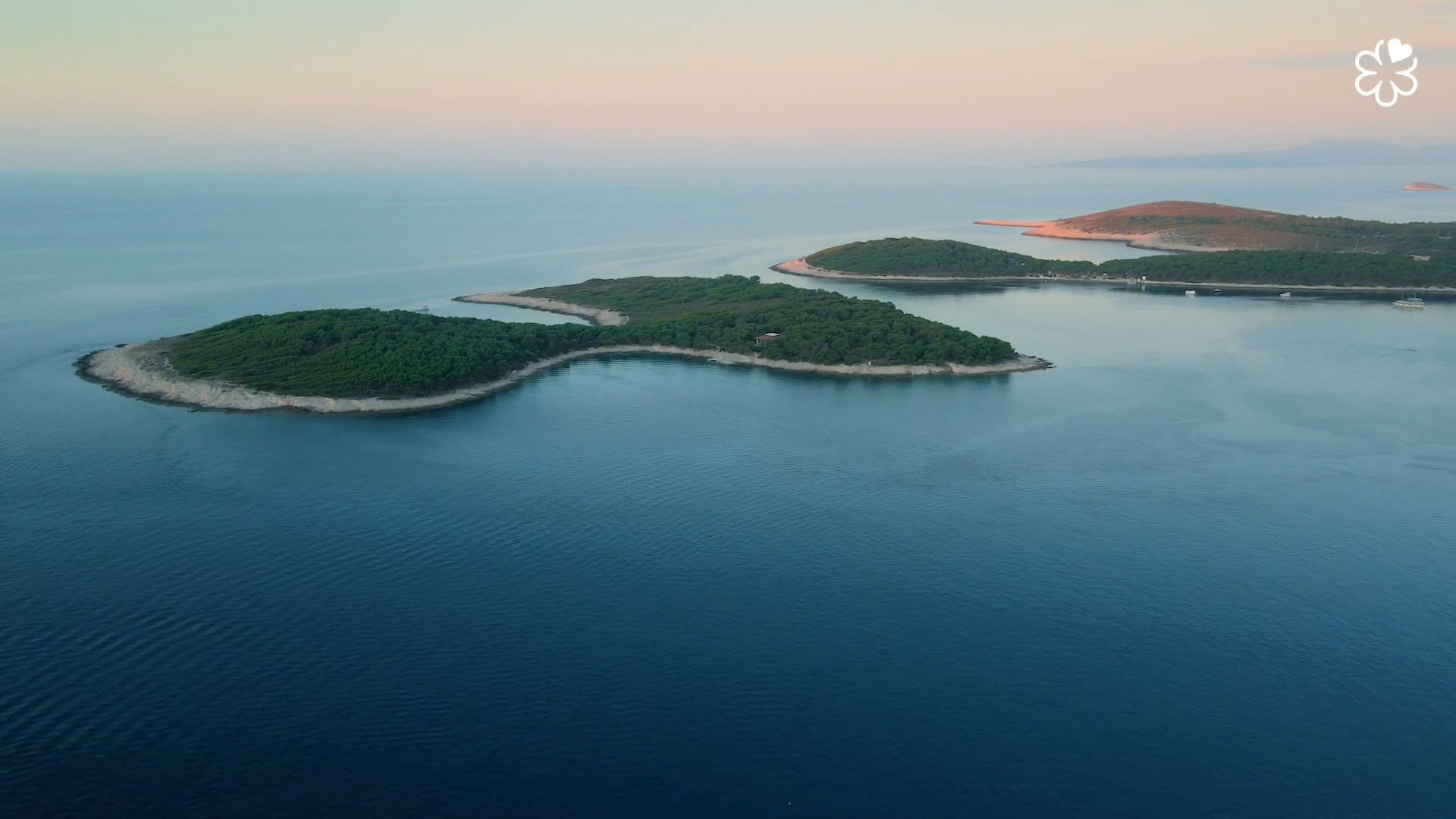 Still 2026-03-10 144411_1.622.1.png