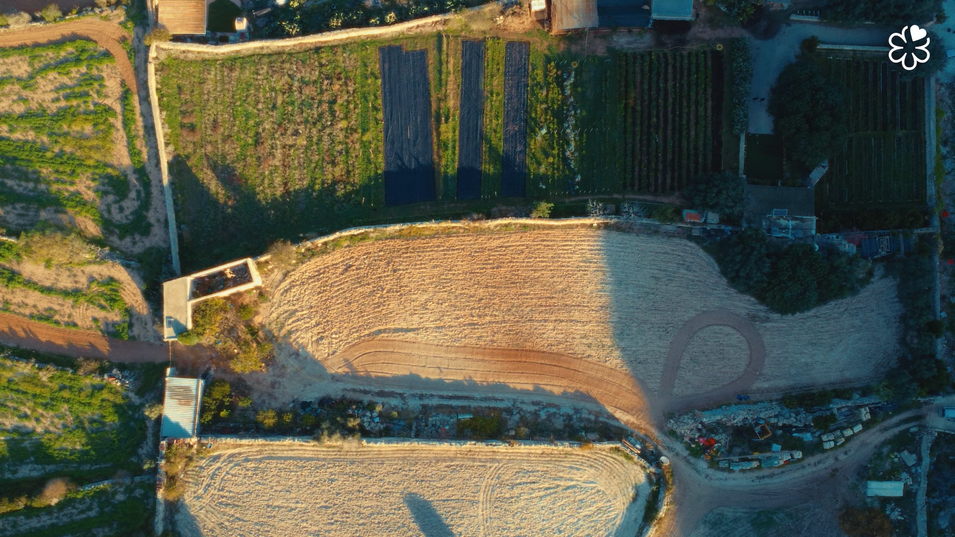 Still 2026-03-10 144324_1.54.1.png