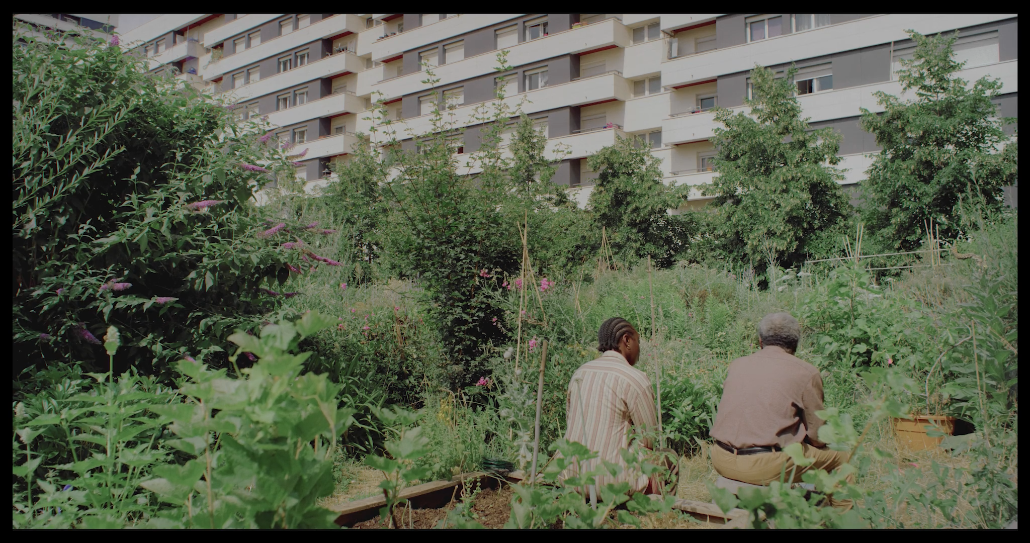 Les graines silencieuses_1.1.22.png