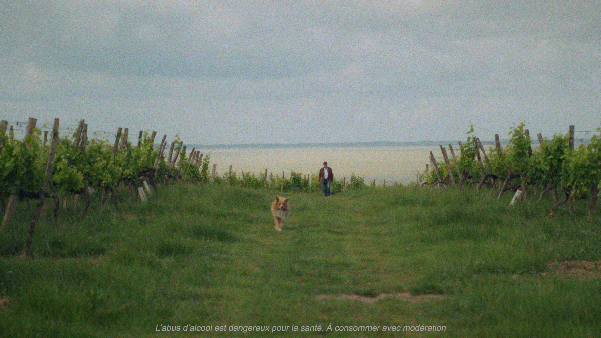 Still 2026-03-10 144351_1.409.1.png