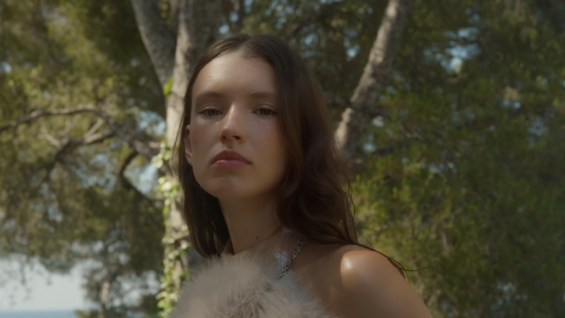 The webster_1.1.4.png