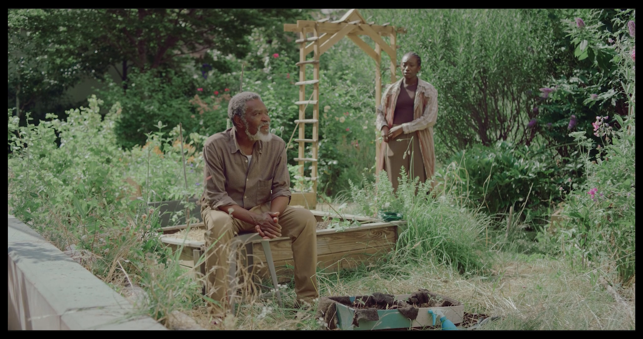 Les graines silencieuses_1.1.20.png