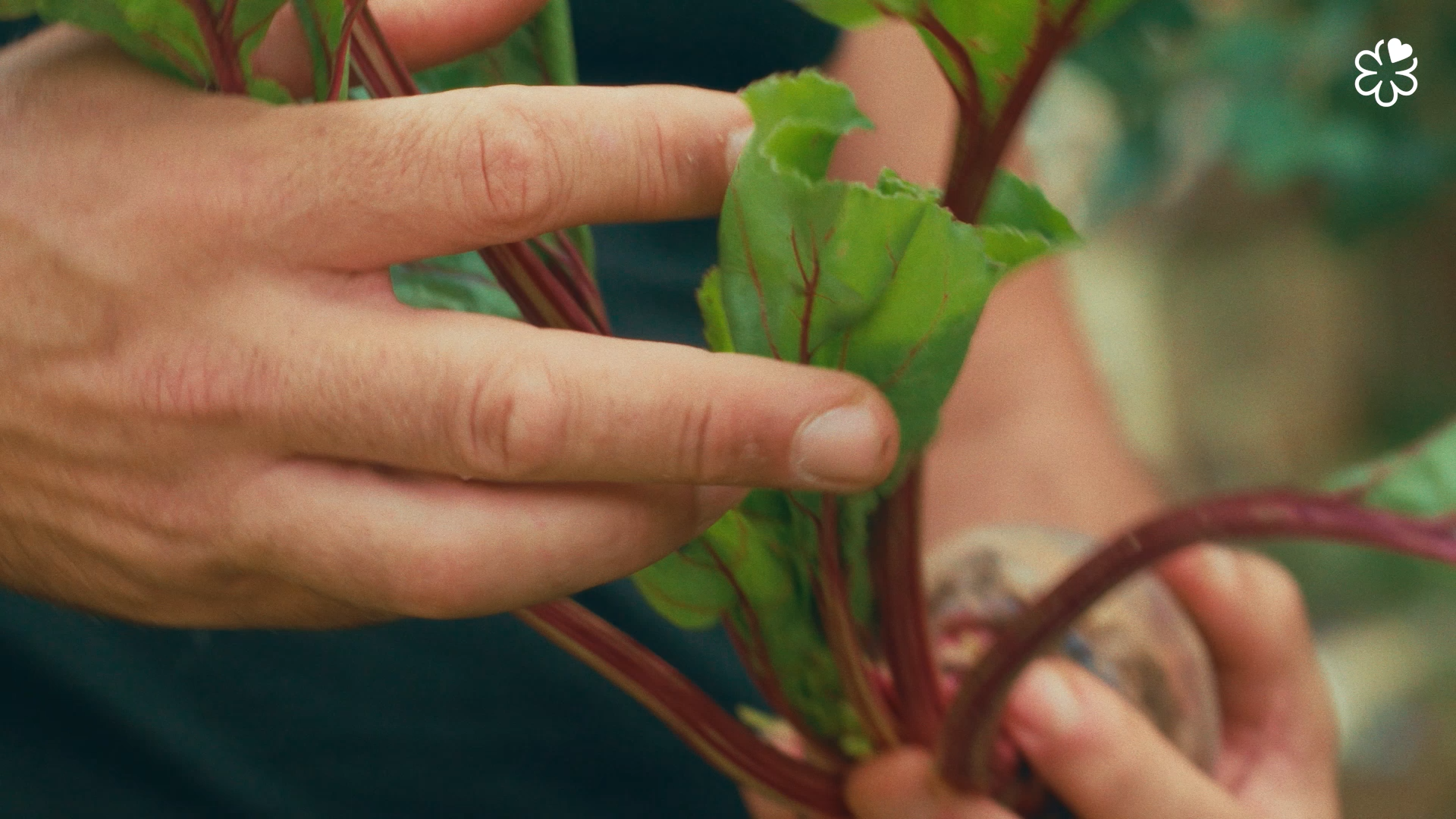 Still 2026-03-10 144324_1.1.1.png