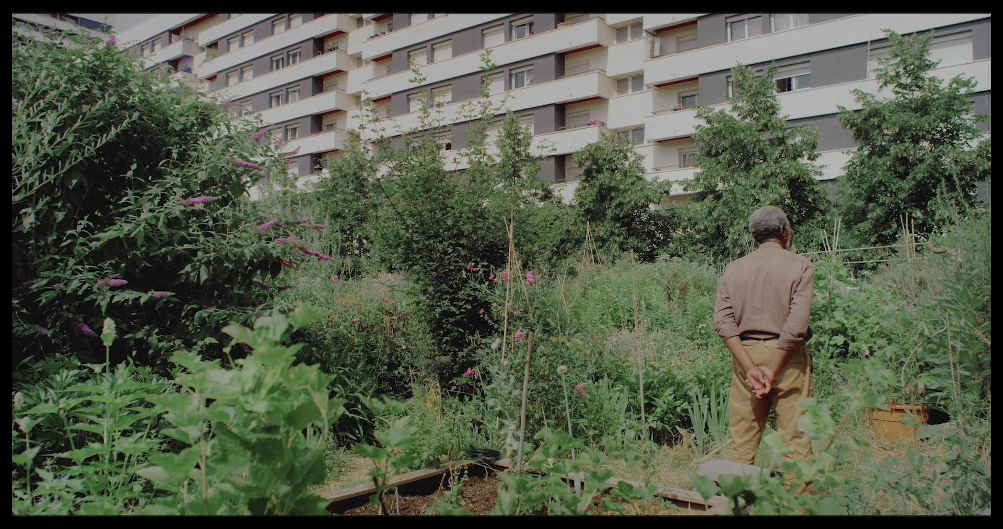 Les graines silencieuses_1.1.18.png