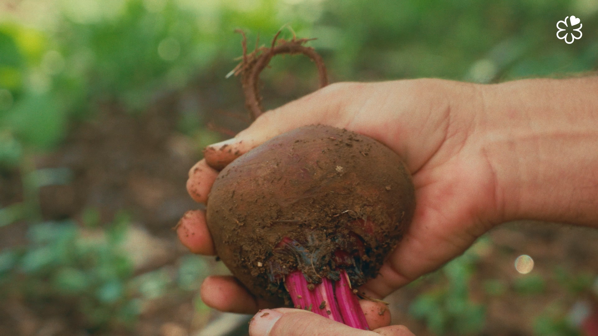 Still 2026-03-10 144324_1.1.2.T.png