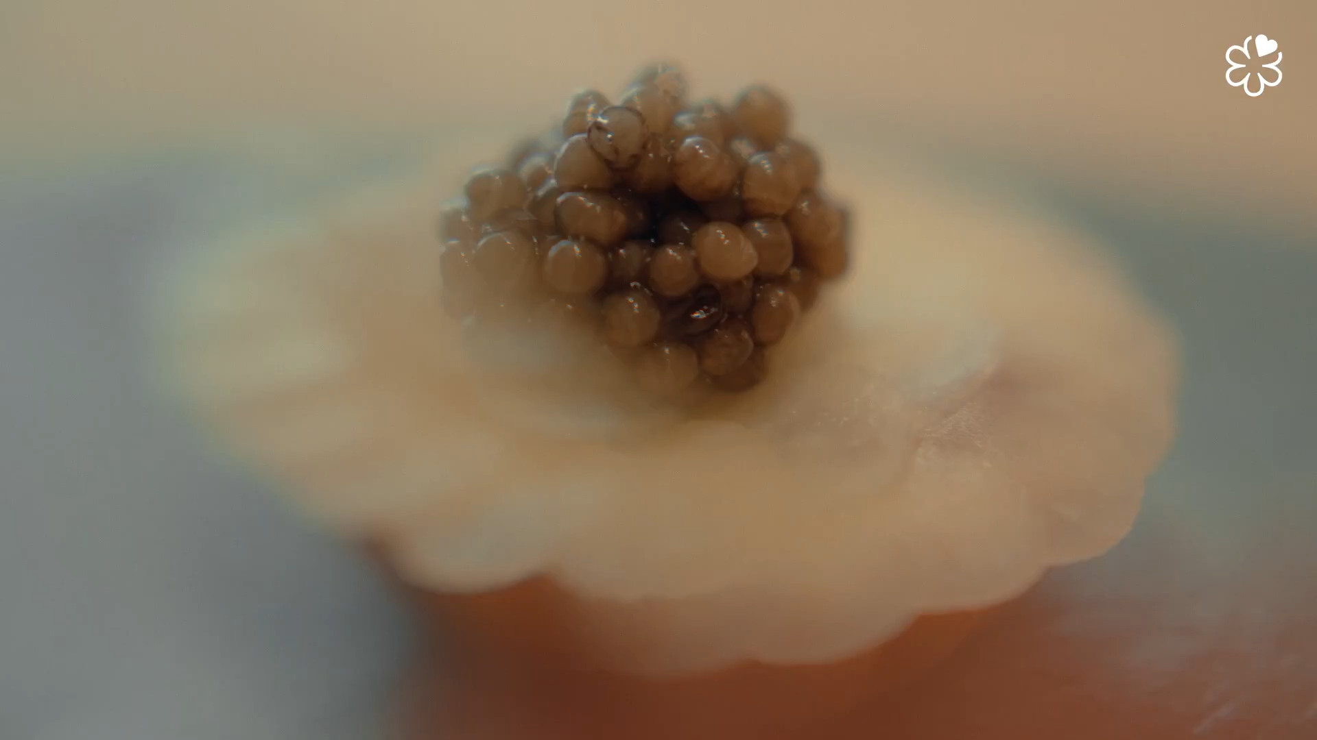 Still 2026-03-10 144411_1.630.1.png