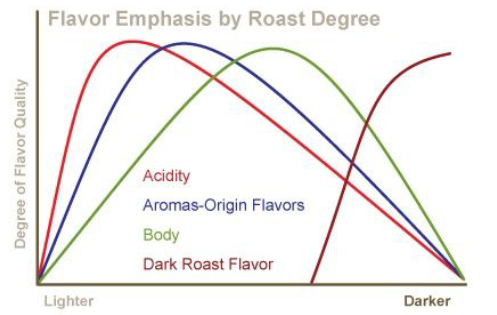 Wat is body in koffie (en hoe je het zelf beïnvloedt)