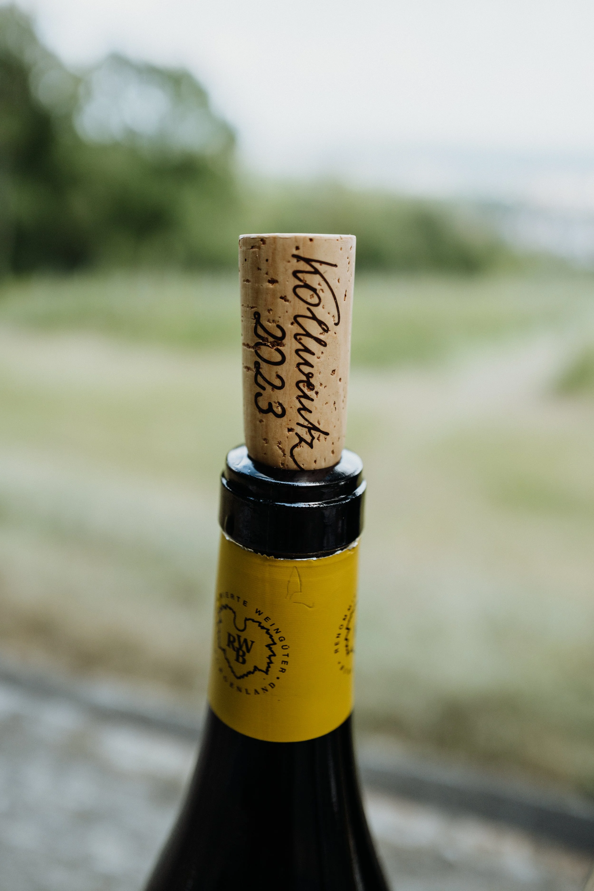 Weingut Kollwentz - 13.05.2025 (27 of 39).jpg