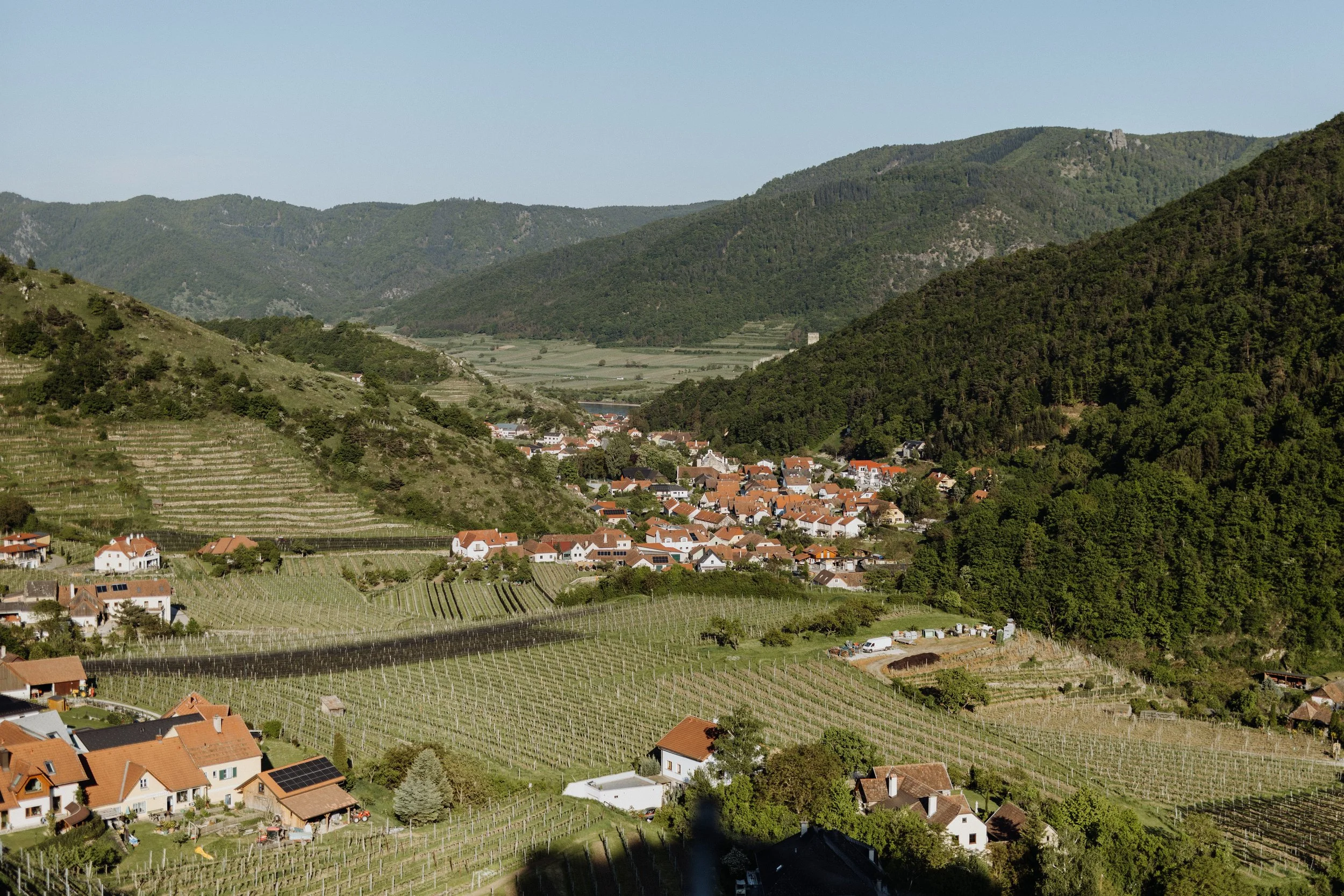 Weingut Johann Donabaum (15 of 24).jpg